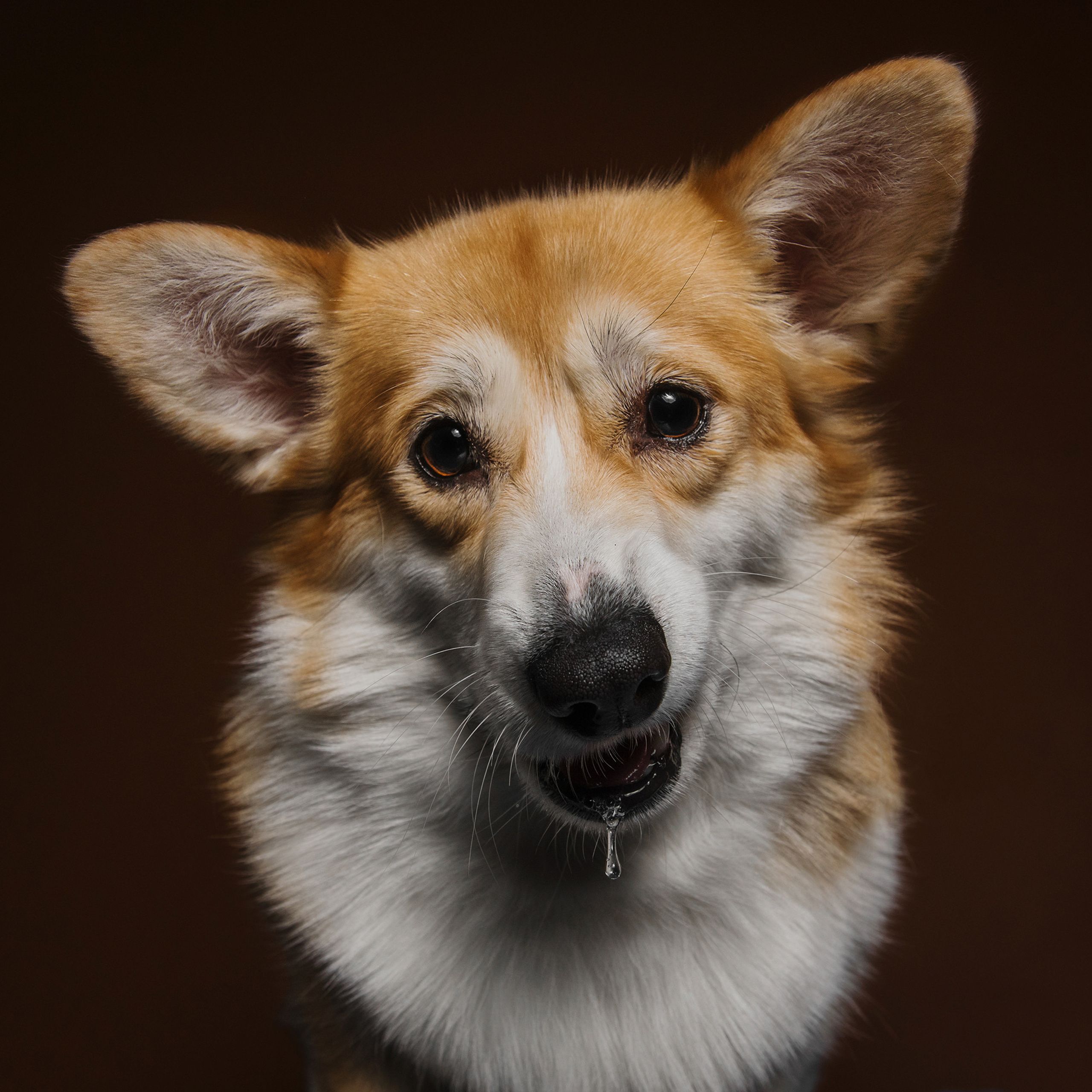 Фотодень в студии. Фотограф Анна Тюрина