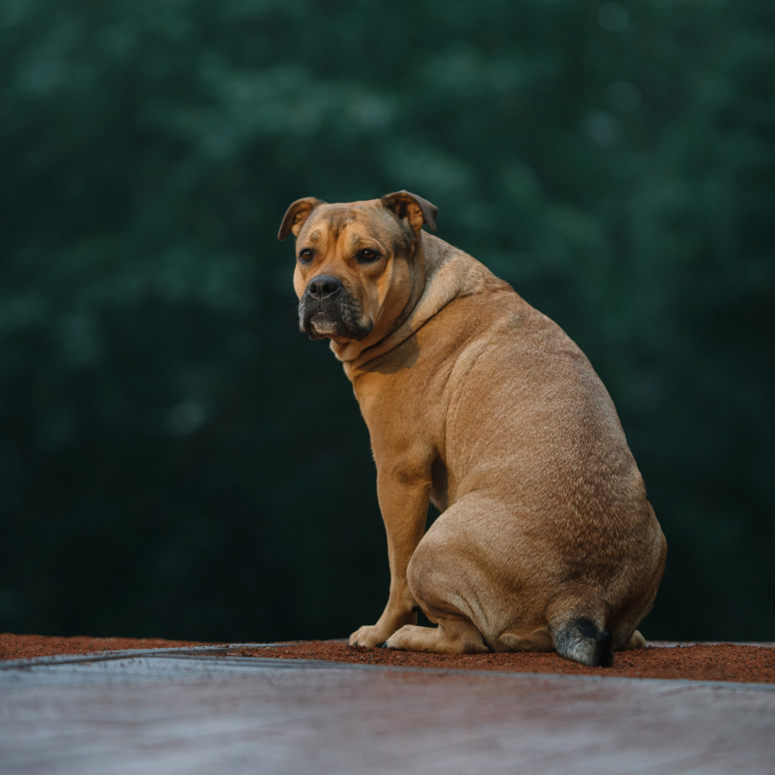 Ка де бо Лина. Фотограф Анна Тюрина