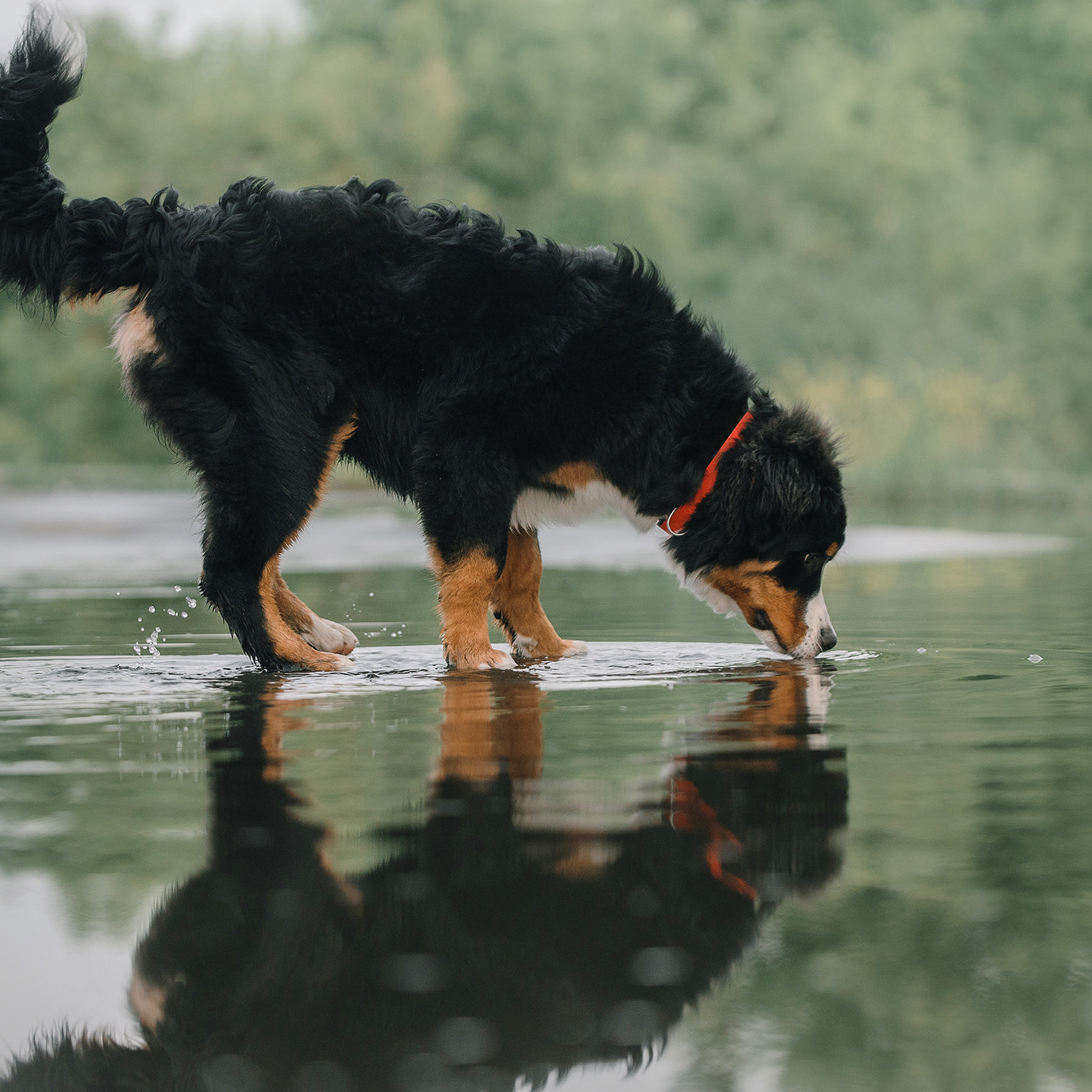 Оля и семья. Фотограф Анна Тюрина