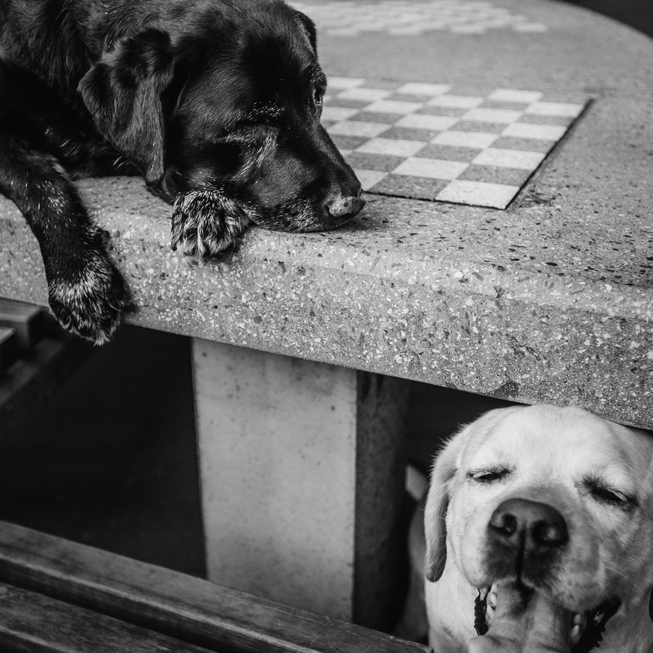 ПОРТФОЛИО. Фотограф Анна Тюрина