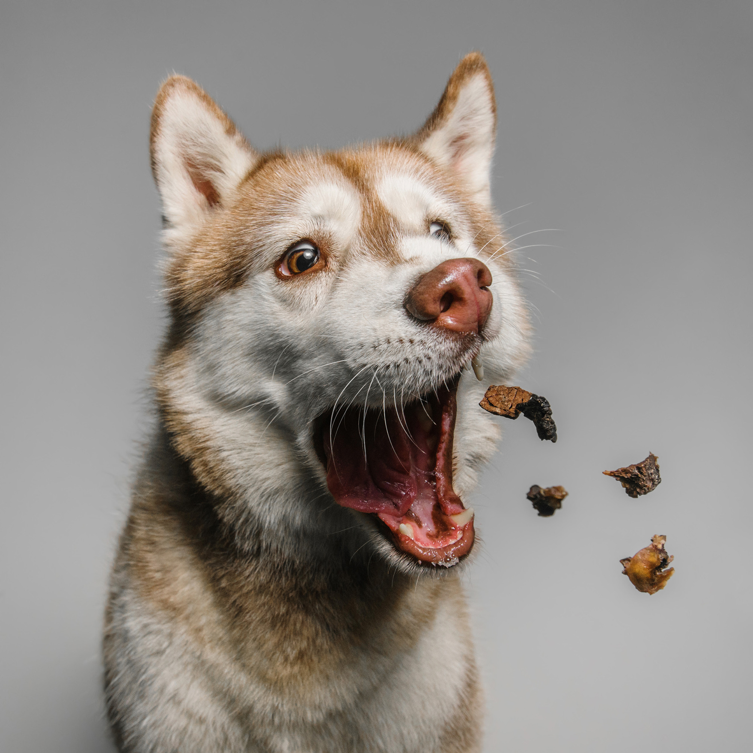 Съёмка с кусочком. Фотограф Анна Тюрина