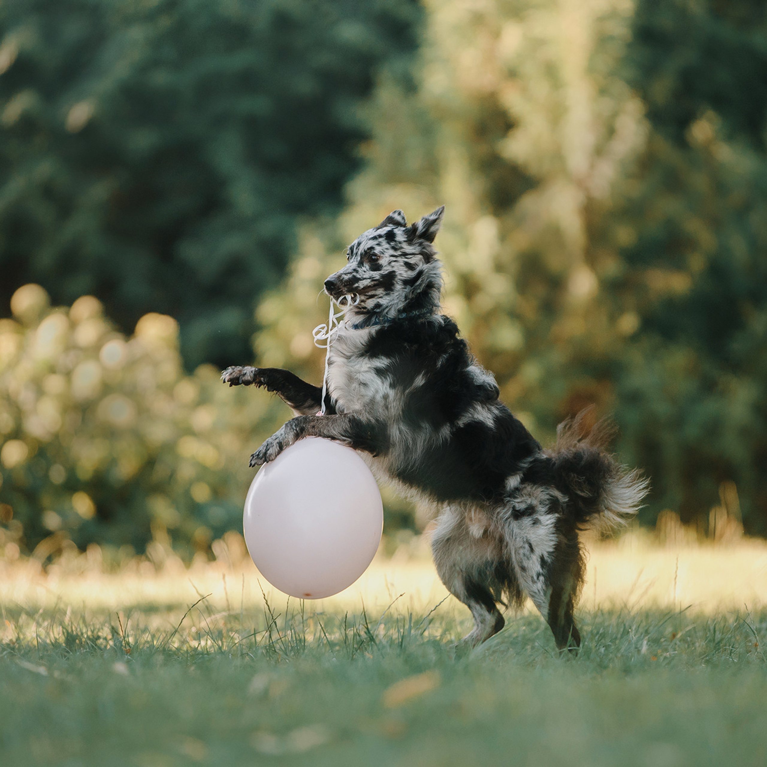 Ира, Инди и Сеня. Фотограф Анна Тюрина
