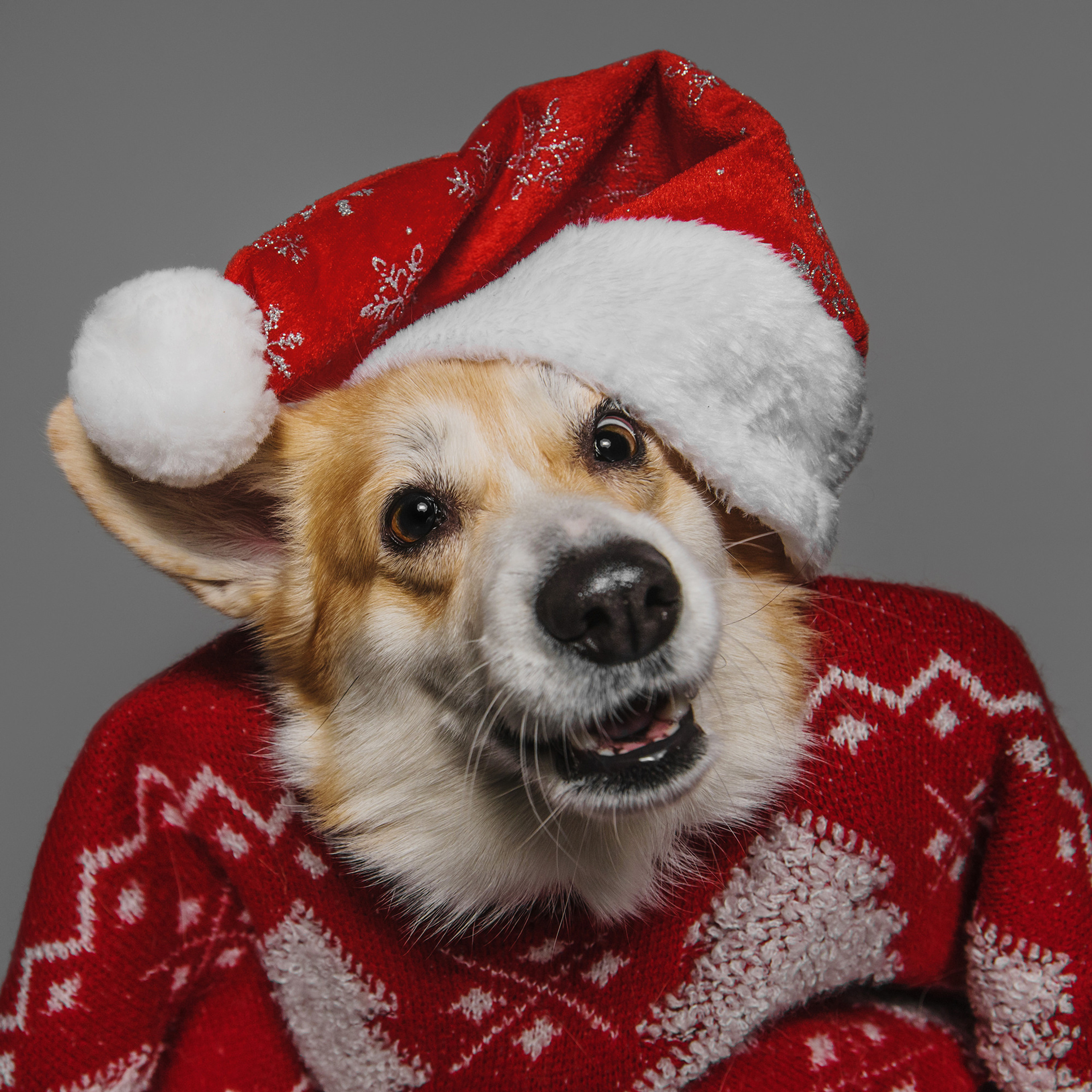 Фотодень в студии. Фотограф Анна Тюрина