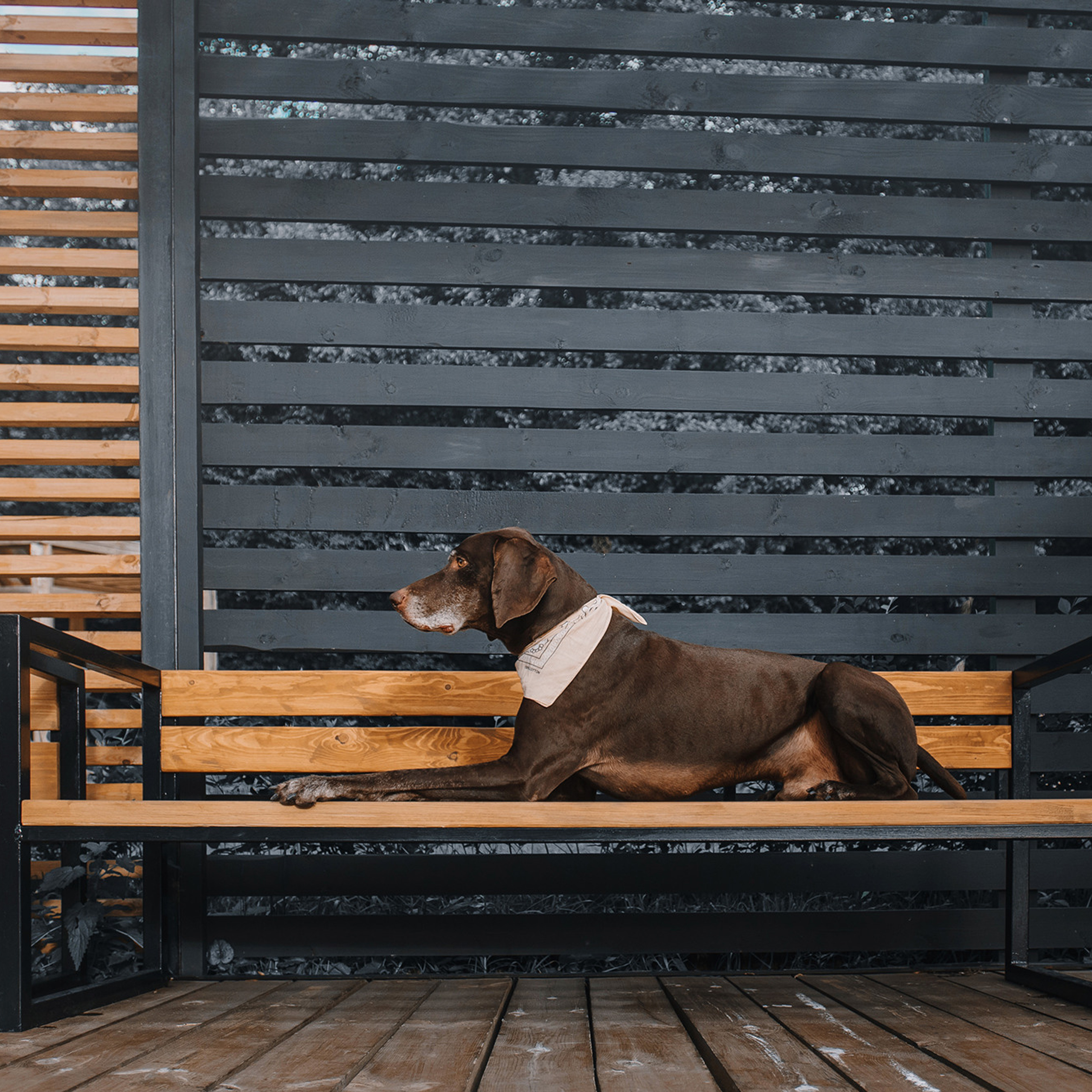 Ира и Клайд. Фотограф Анна Тюрина