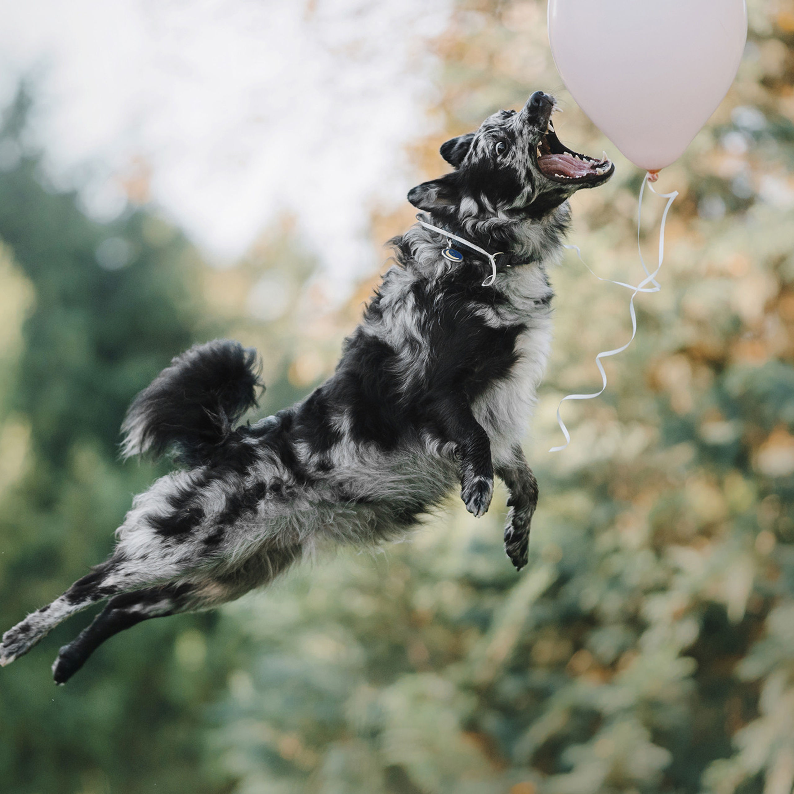 Ира, Инди и Сеня. Фотограф Анна Тюрина