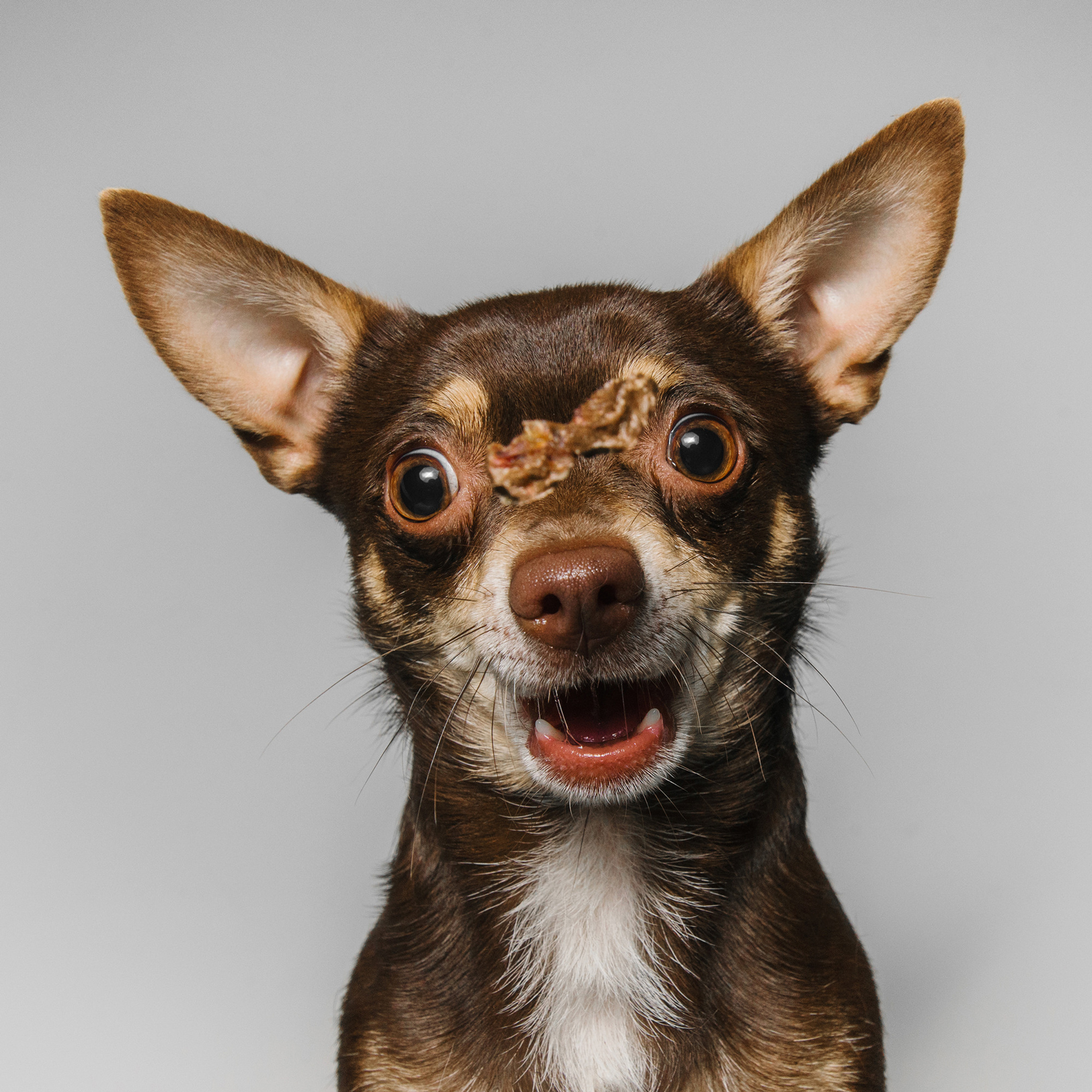 Съёмка с кусочком. Фотограф Анна Тюрина