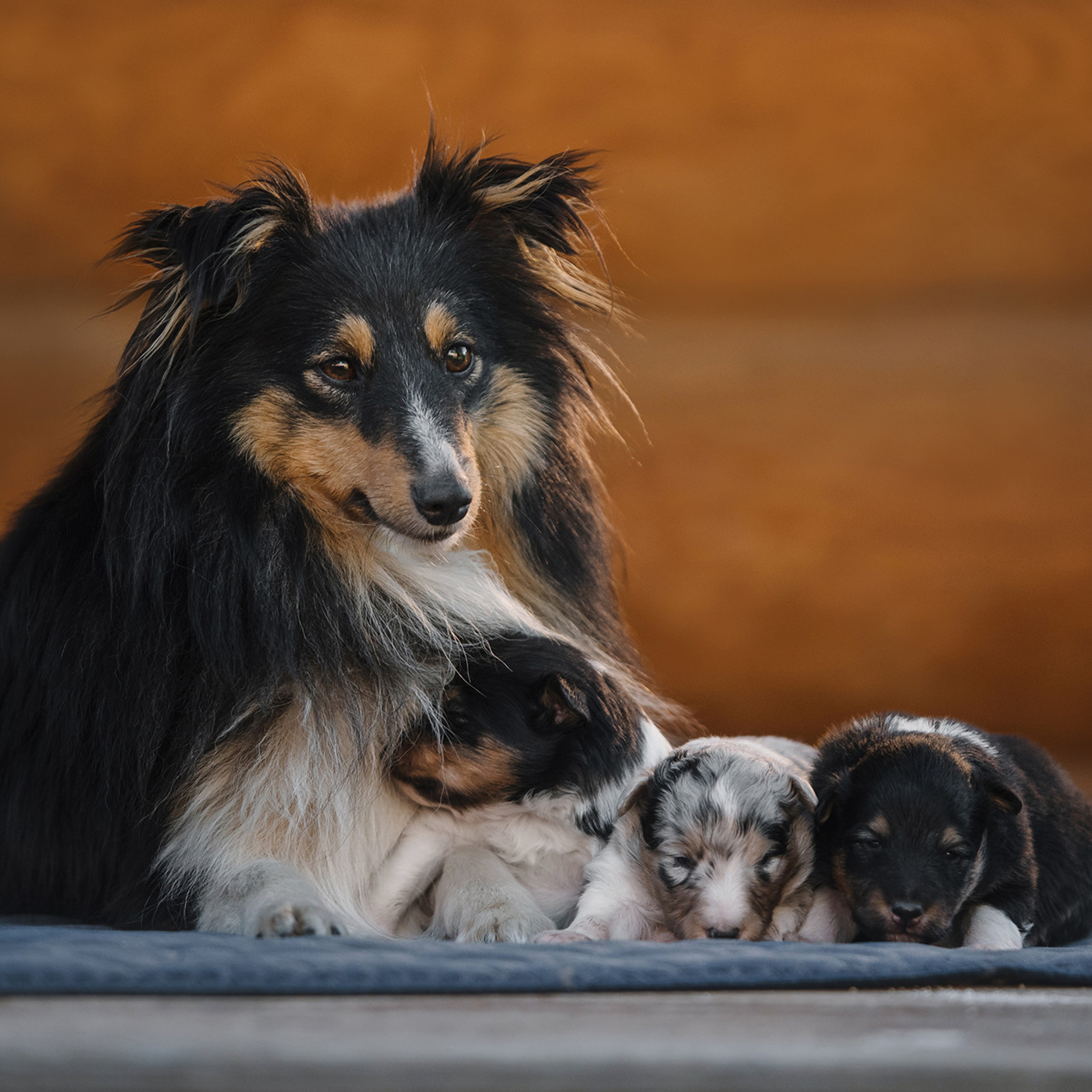 Евгения и семья. Фотограф Анна Тюрина