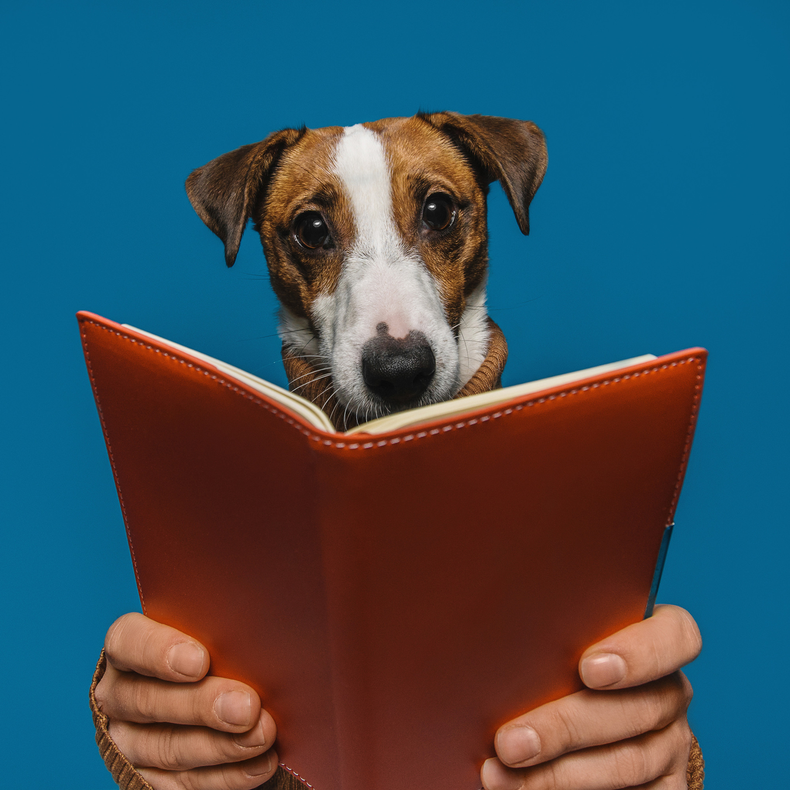 Фотодень в студии. Фотограф Анна Тюрина