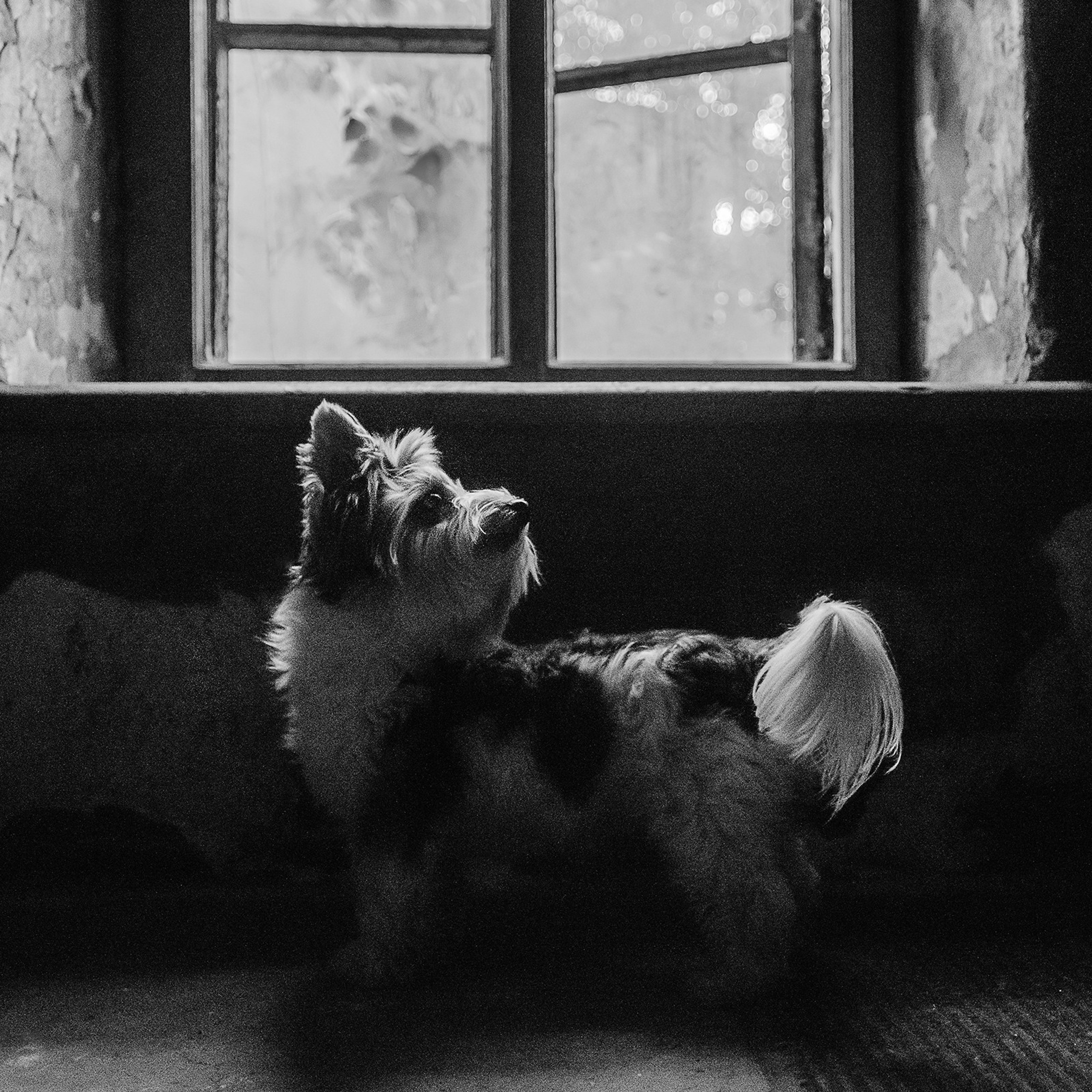 Алина и Яся. Фотограф Анна Тюрина