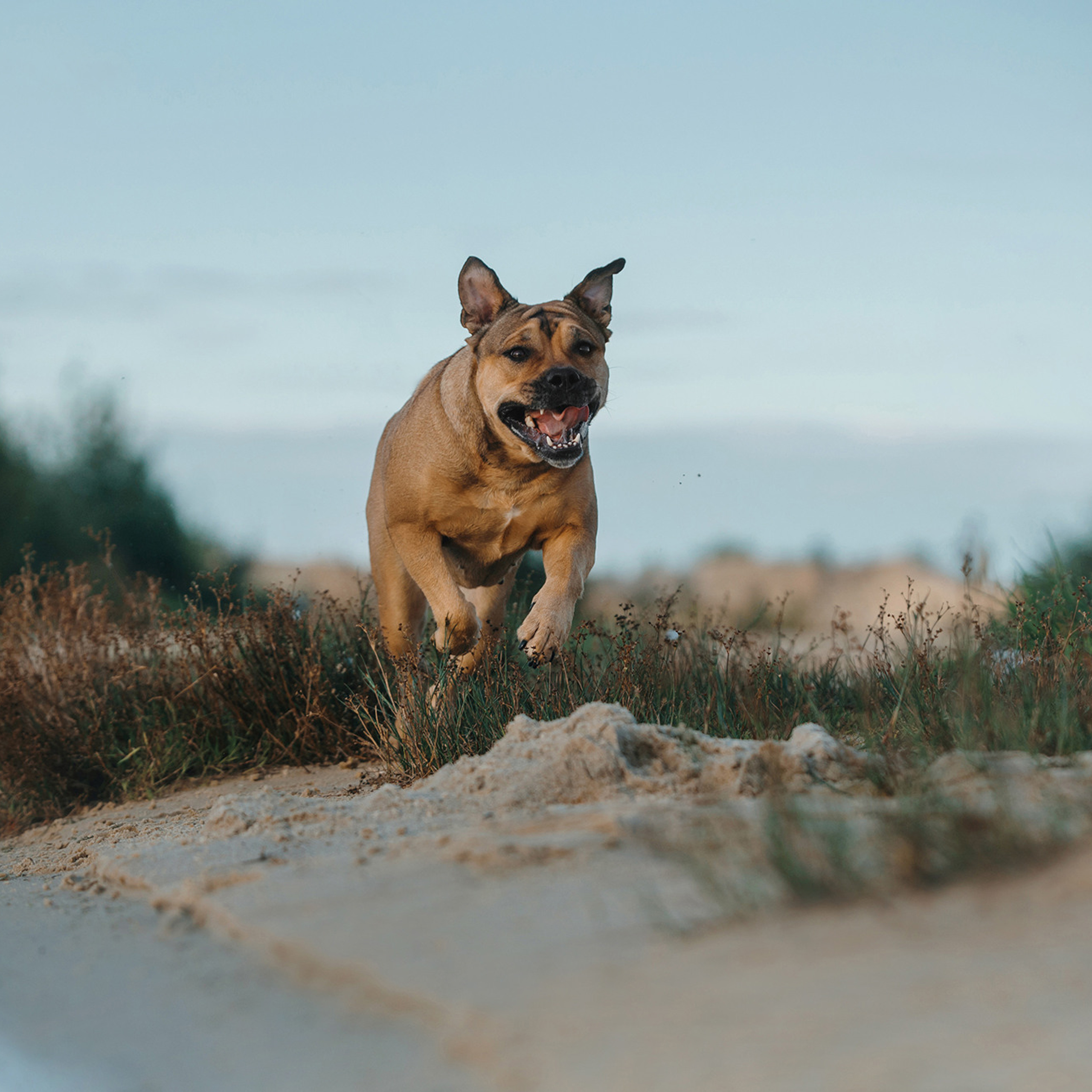 Ка де бо Лина. Фотограф Анна Тюрина