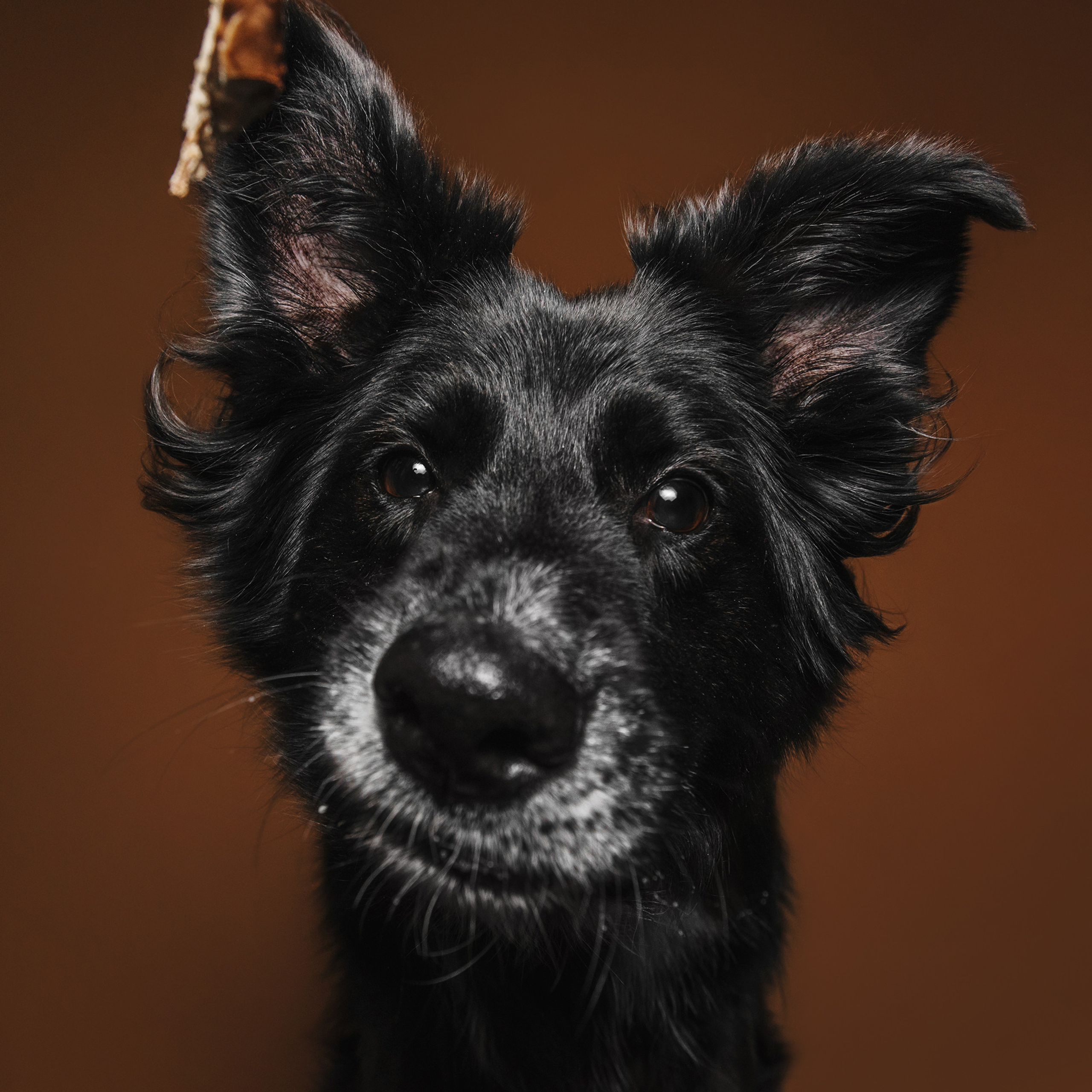 Фотодень в студии. Фотограф Анна Тюрина