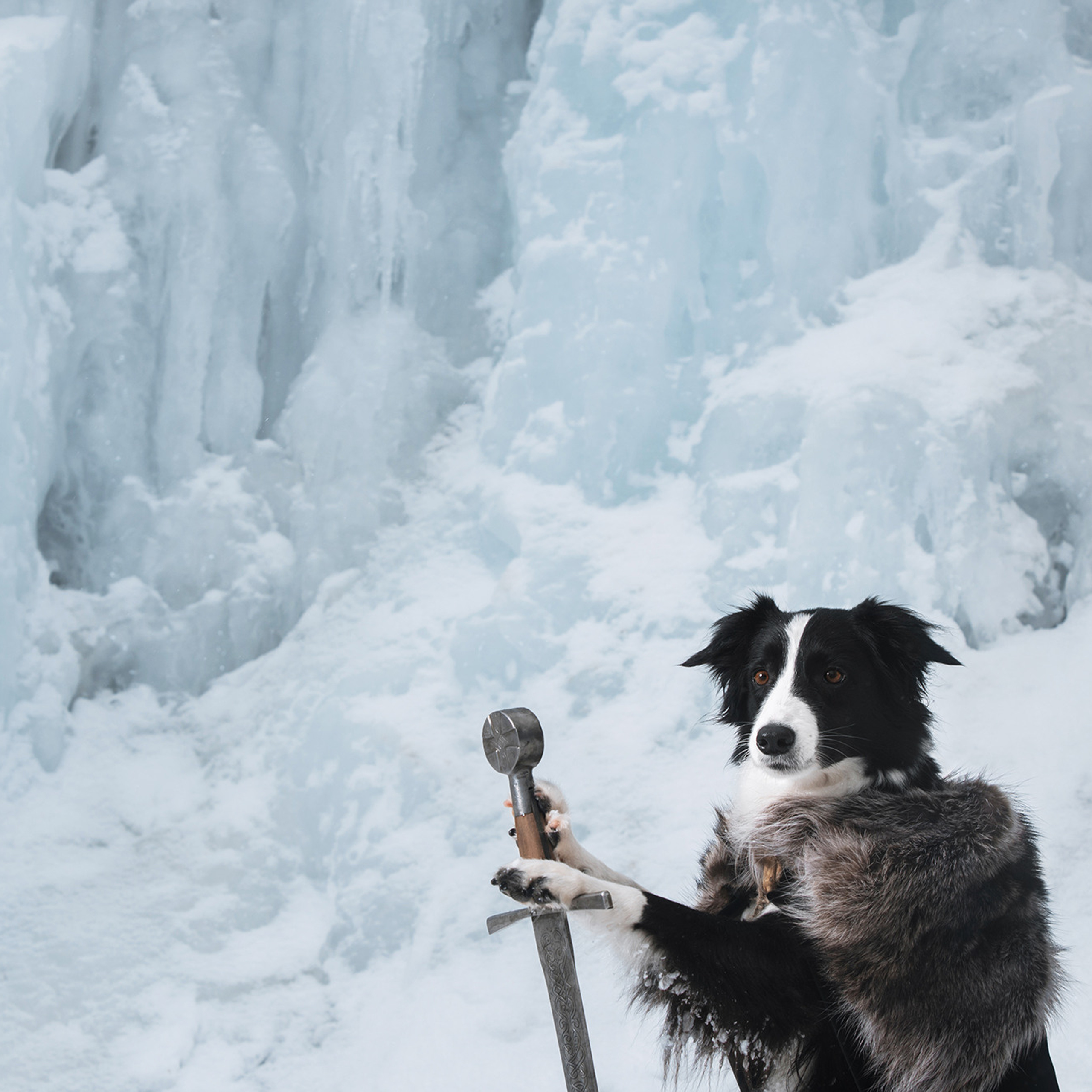 Чистое творчество. Фотограф Анна Тюрина