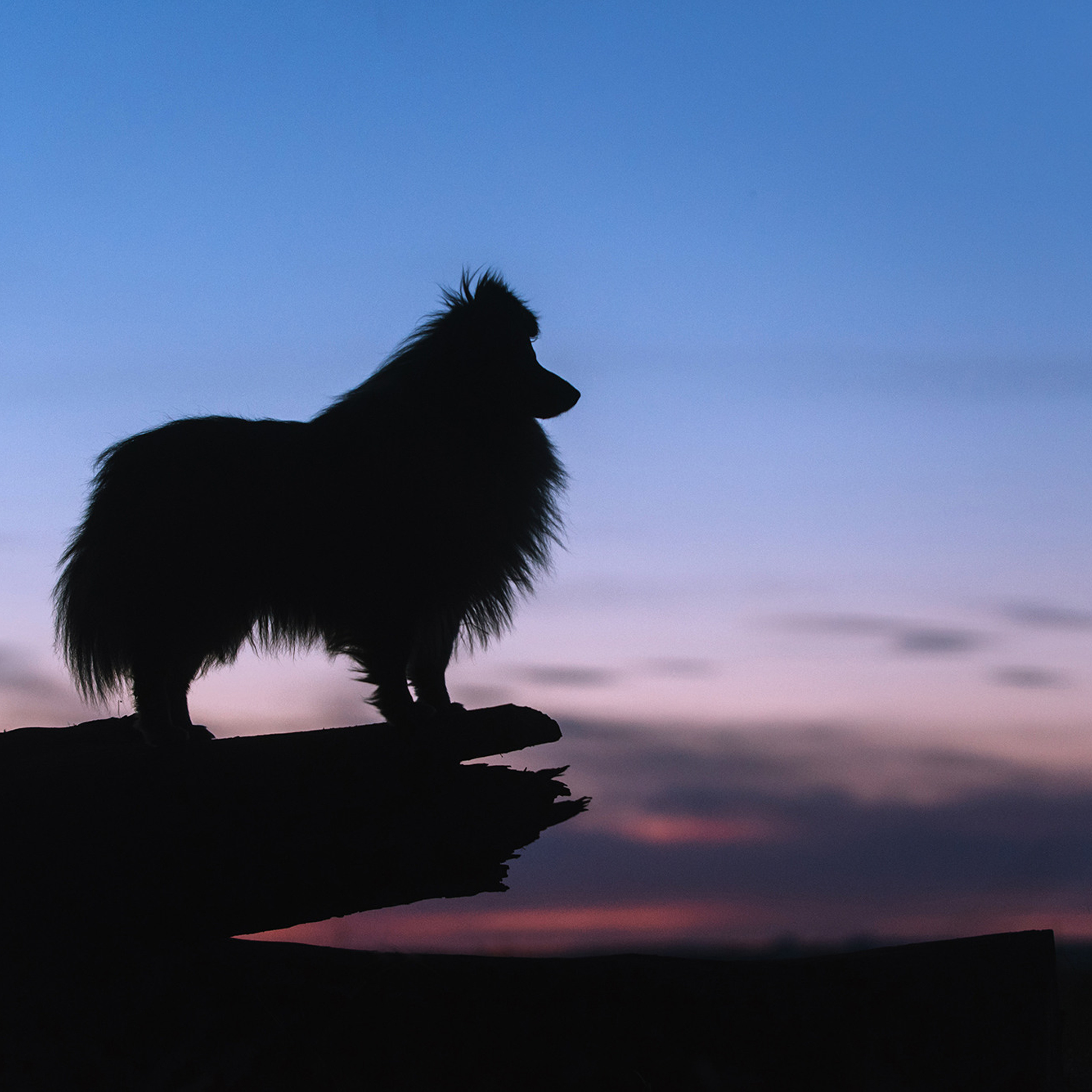 Евгения и семья. Фотограф Анна Тюрина