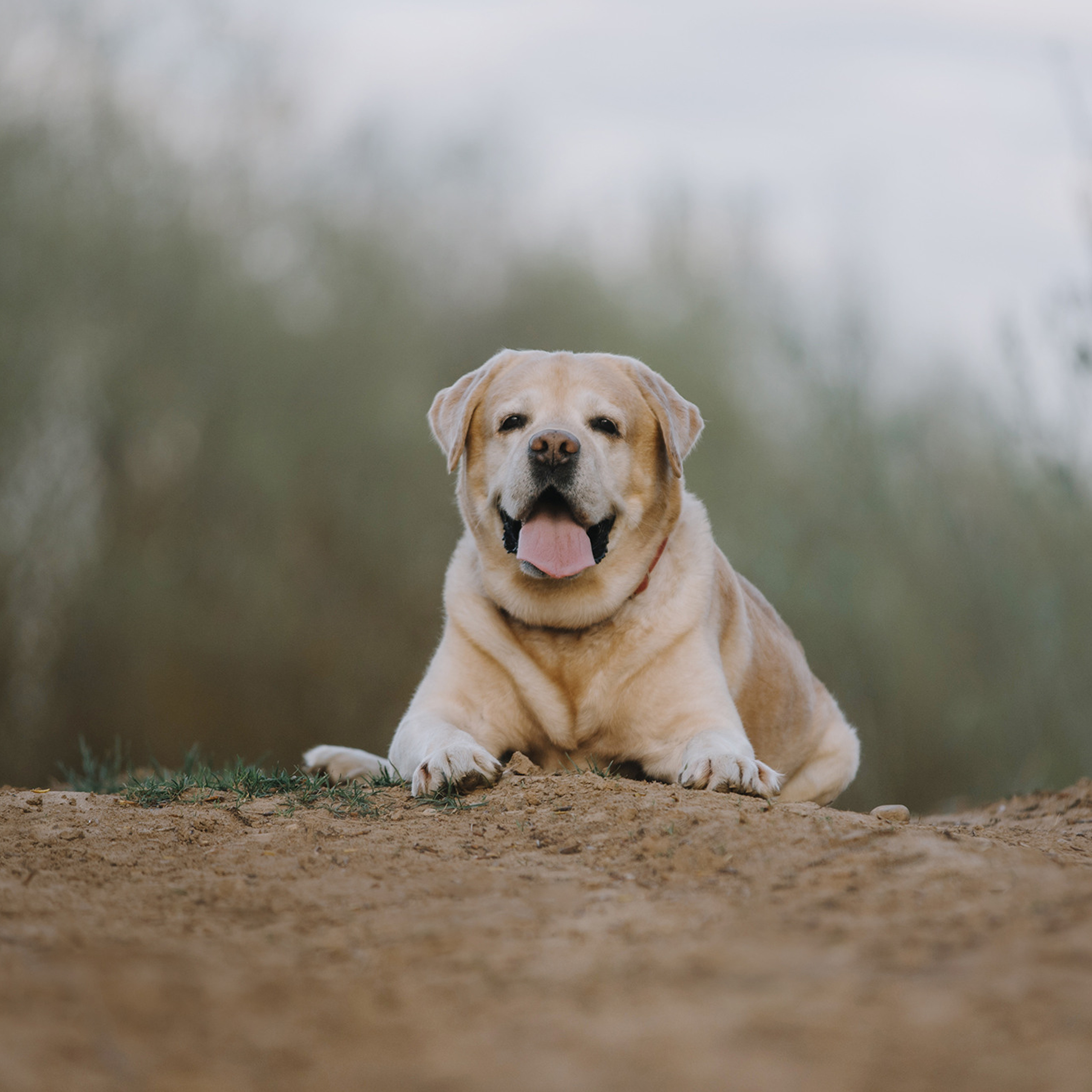 Большая семья. Фотограф Анна Тюрина