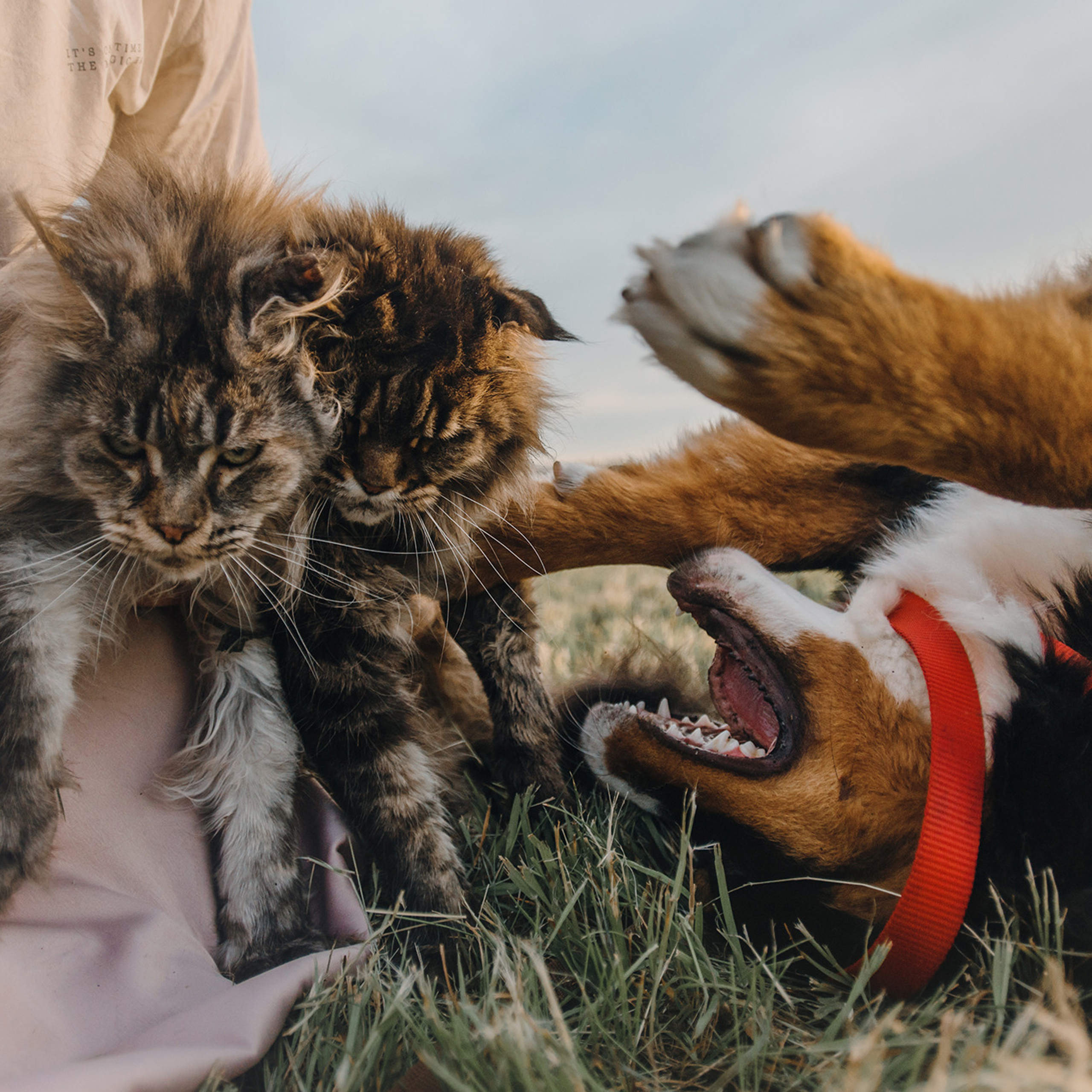 Оля и семья. Фотограф Анна Тюрина
