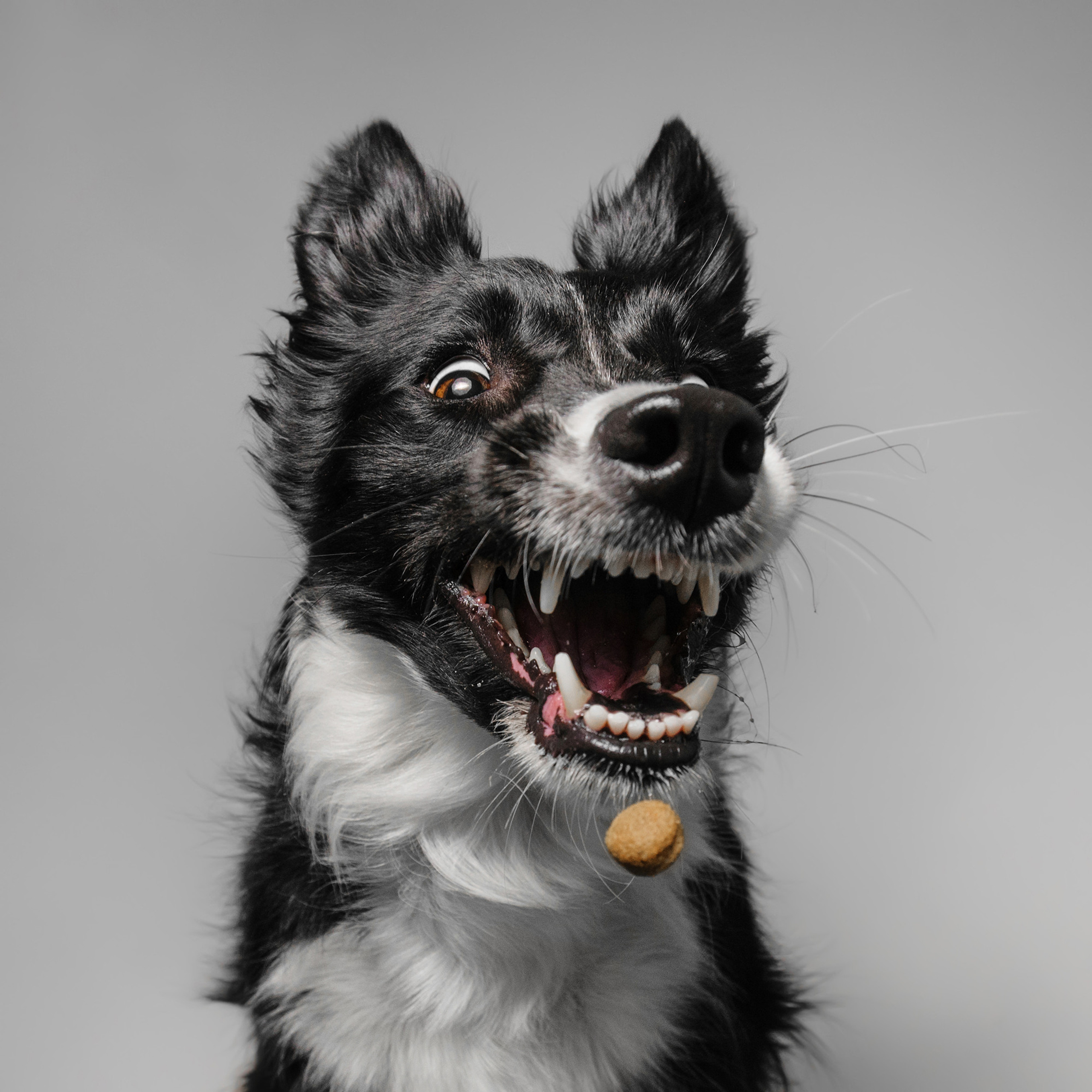 Съёмка с кусочком. Фотограф Анна Тюрина