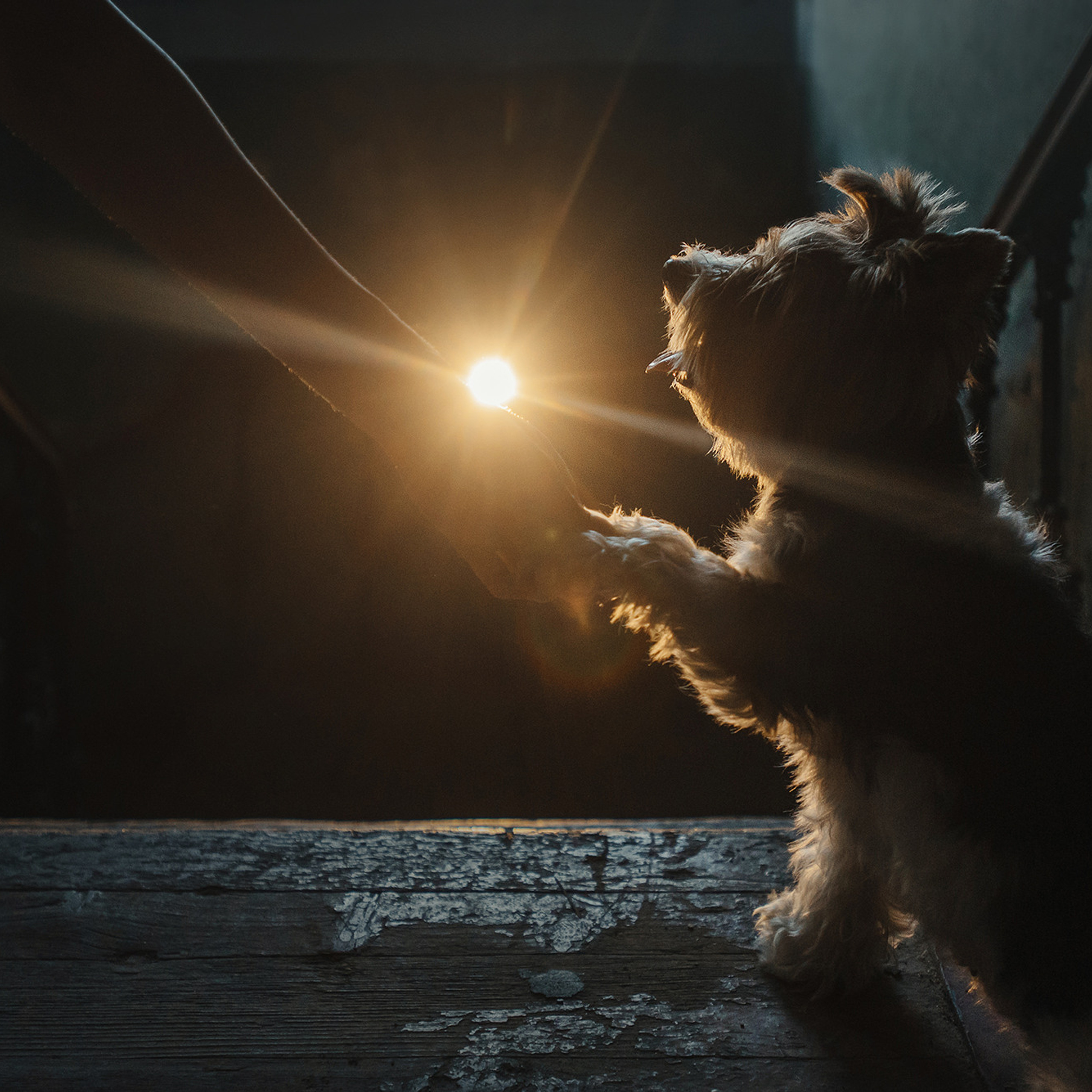 Алина и Яся. Фотограф Анна Тюрина