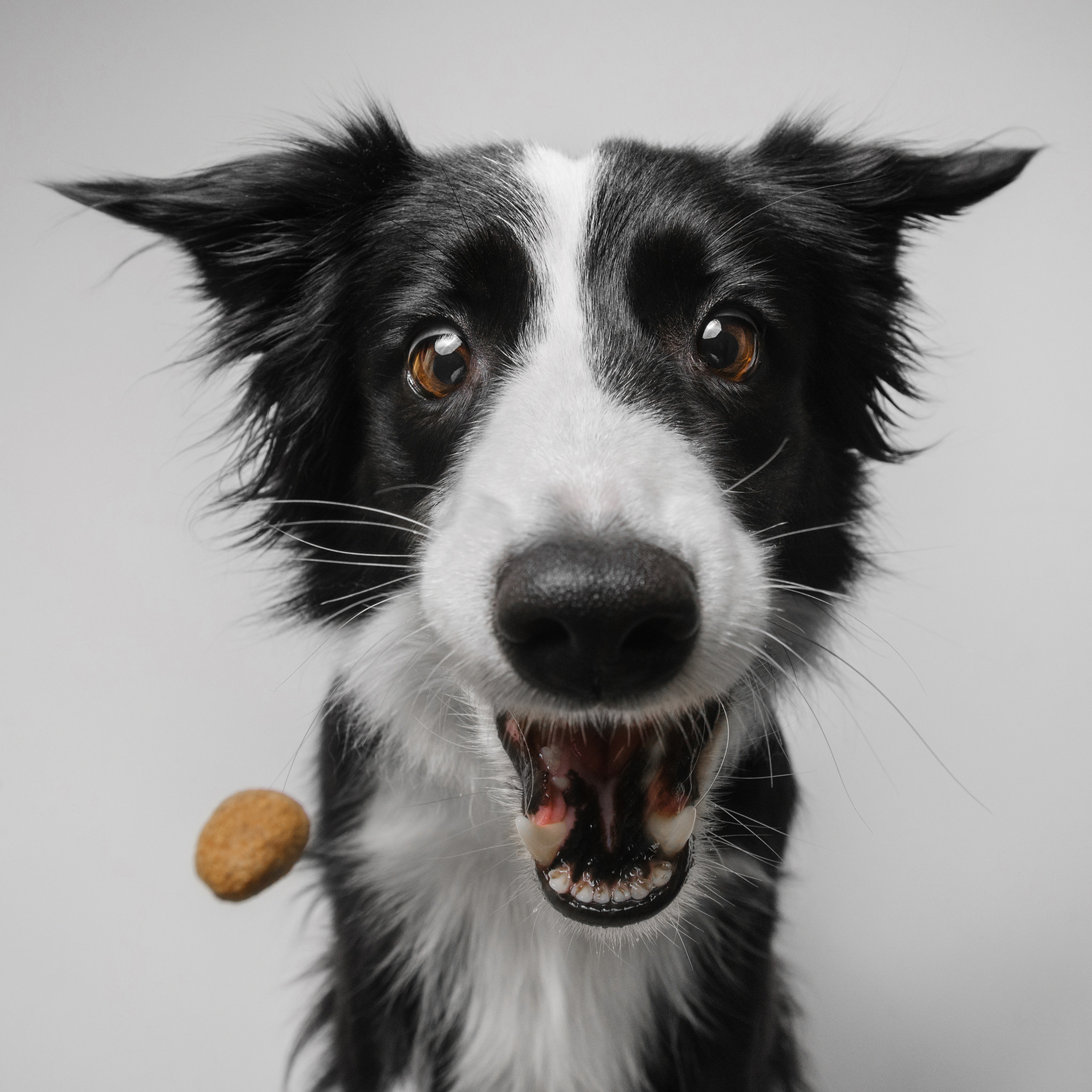 Съёмка с кусочком. Фотограф Анна Тюрина