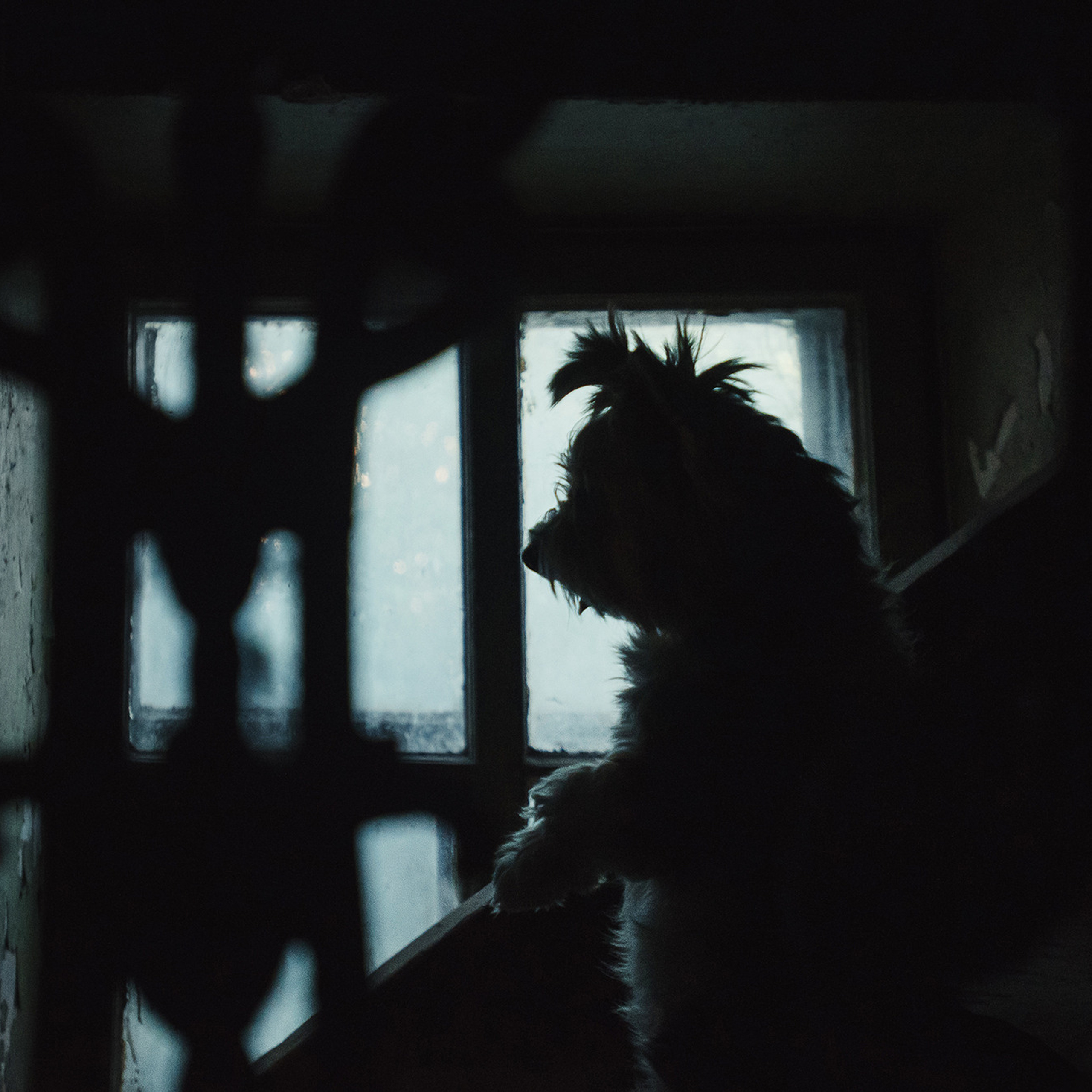 Алина и Яся. Фотограф Анна Тюрина