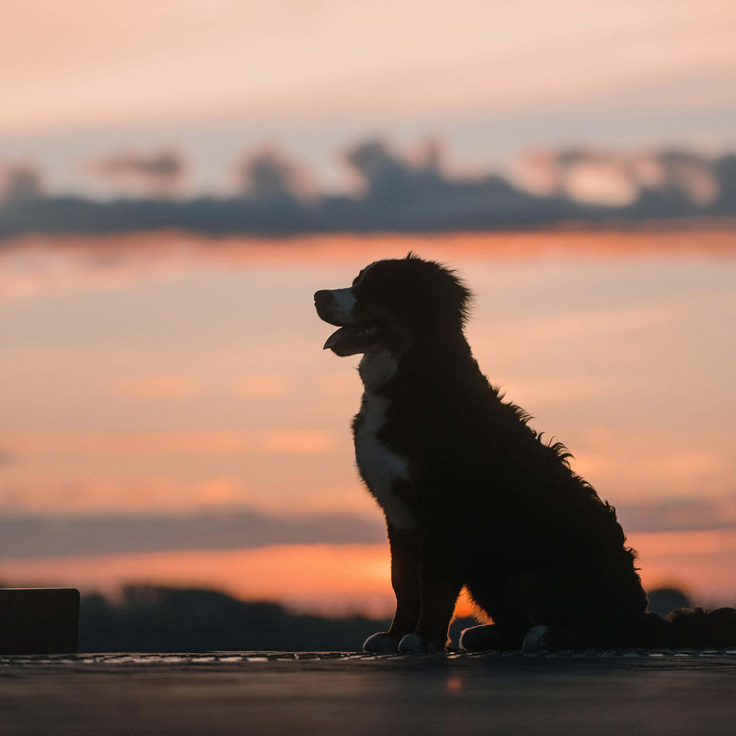 Оля и семья. Фотограф Анна Тюрина