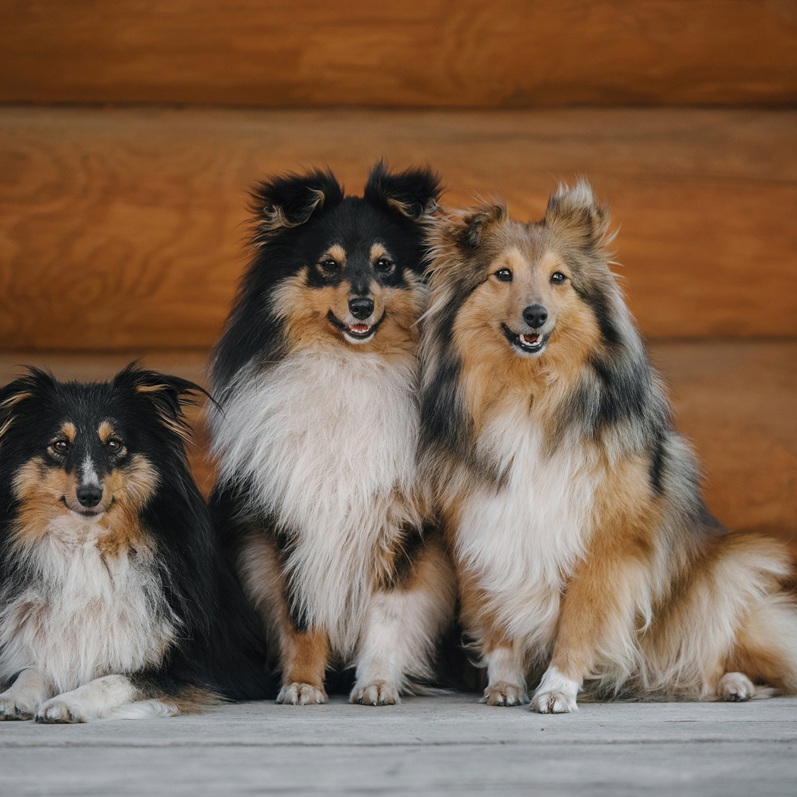 Евгения и семья. Фотограф Анна Тюрина