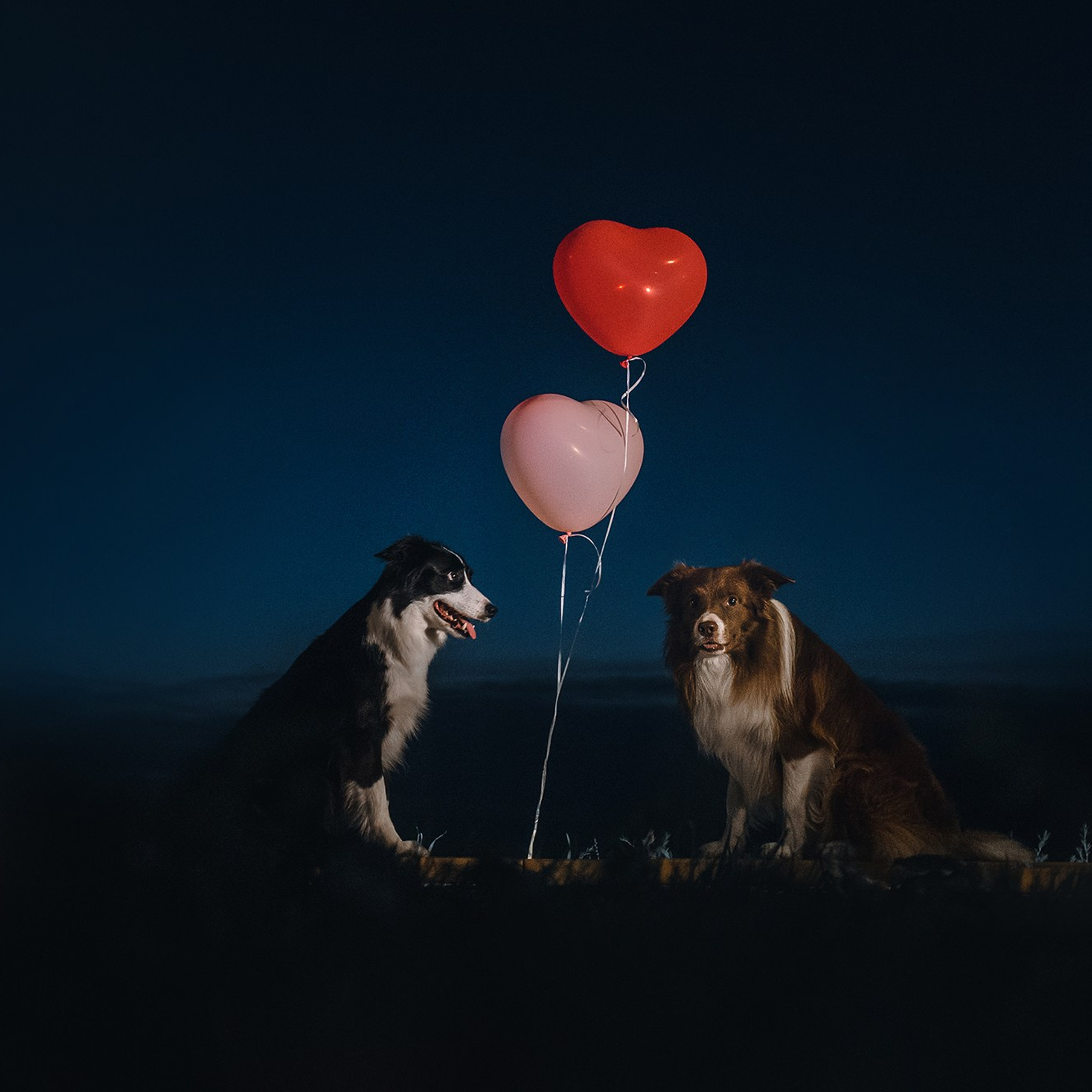 Чистое творчество. Фотограф Анна Тюрина