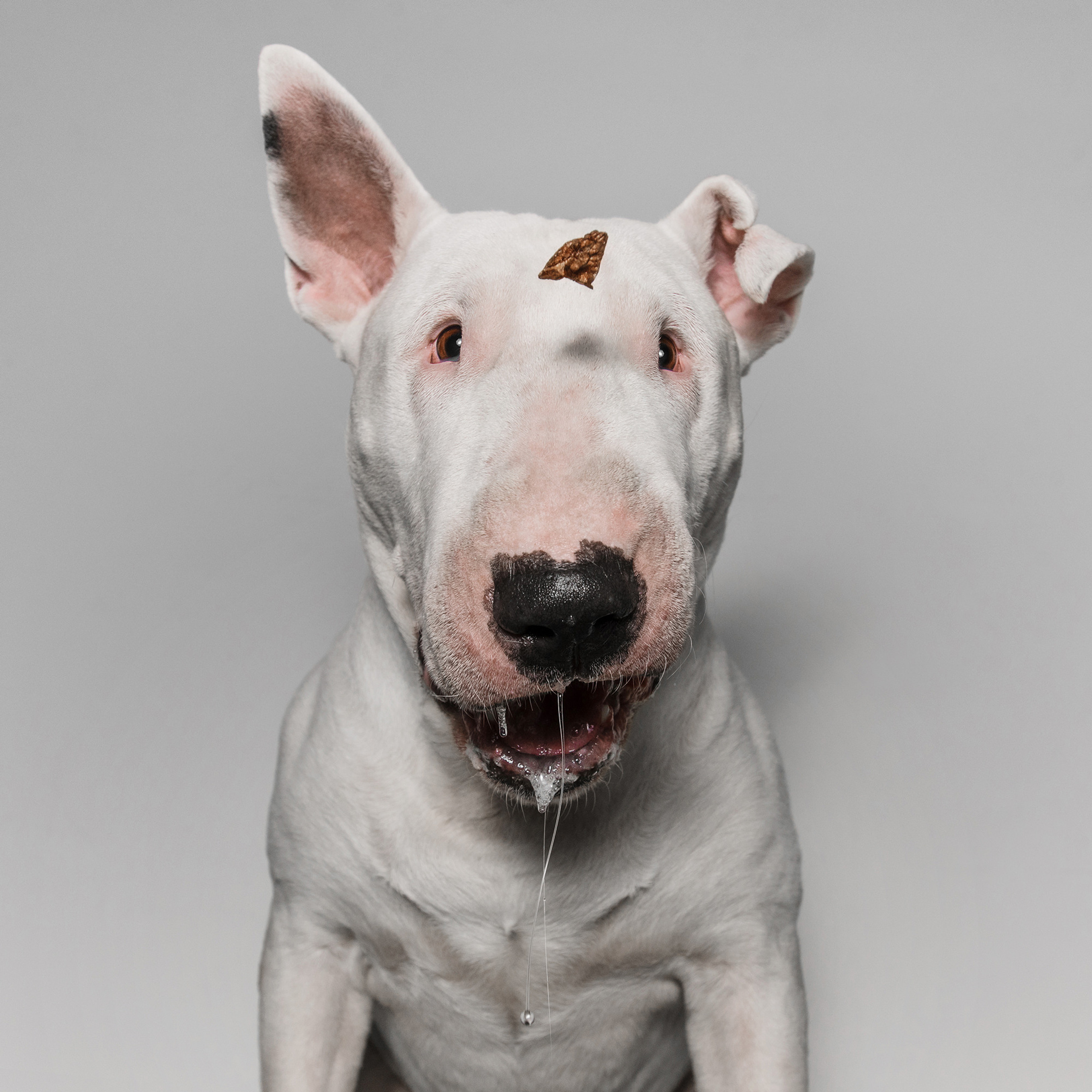 Съёмка с кусочком. Фотограф Анна Тюрина