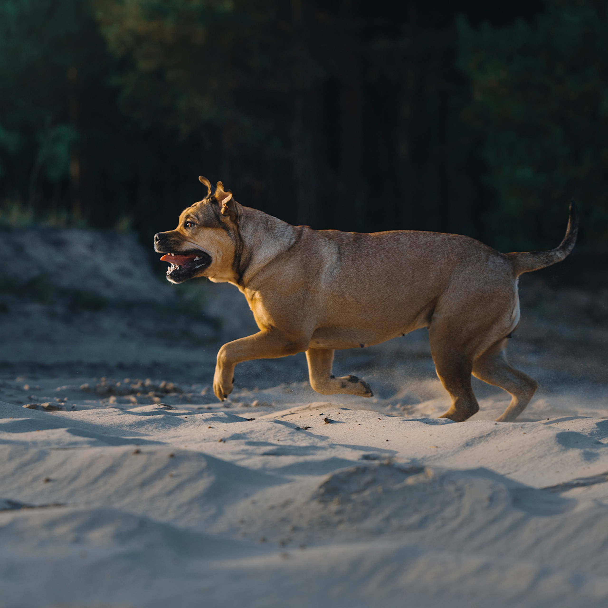 Ка де бо Лина. Фотограф Анна Тюрина