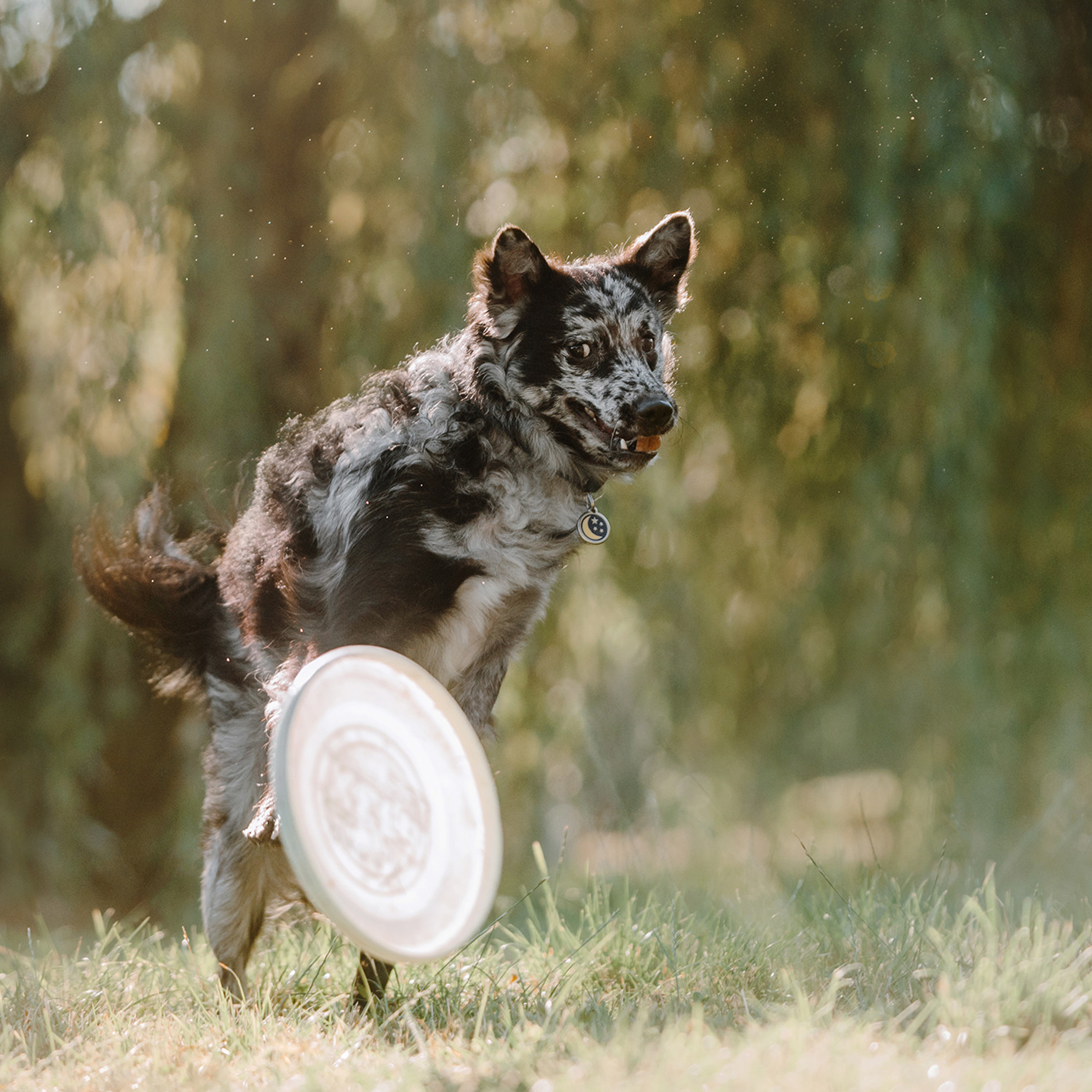 Ира, Инди и Сеня. Фотограф Анна Тюрина