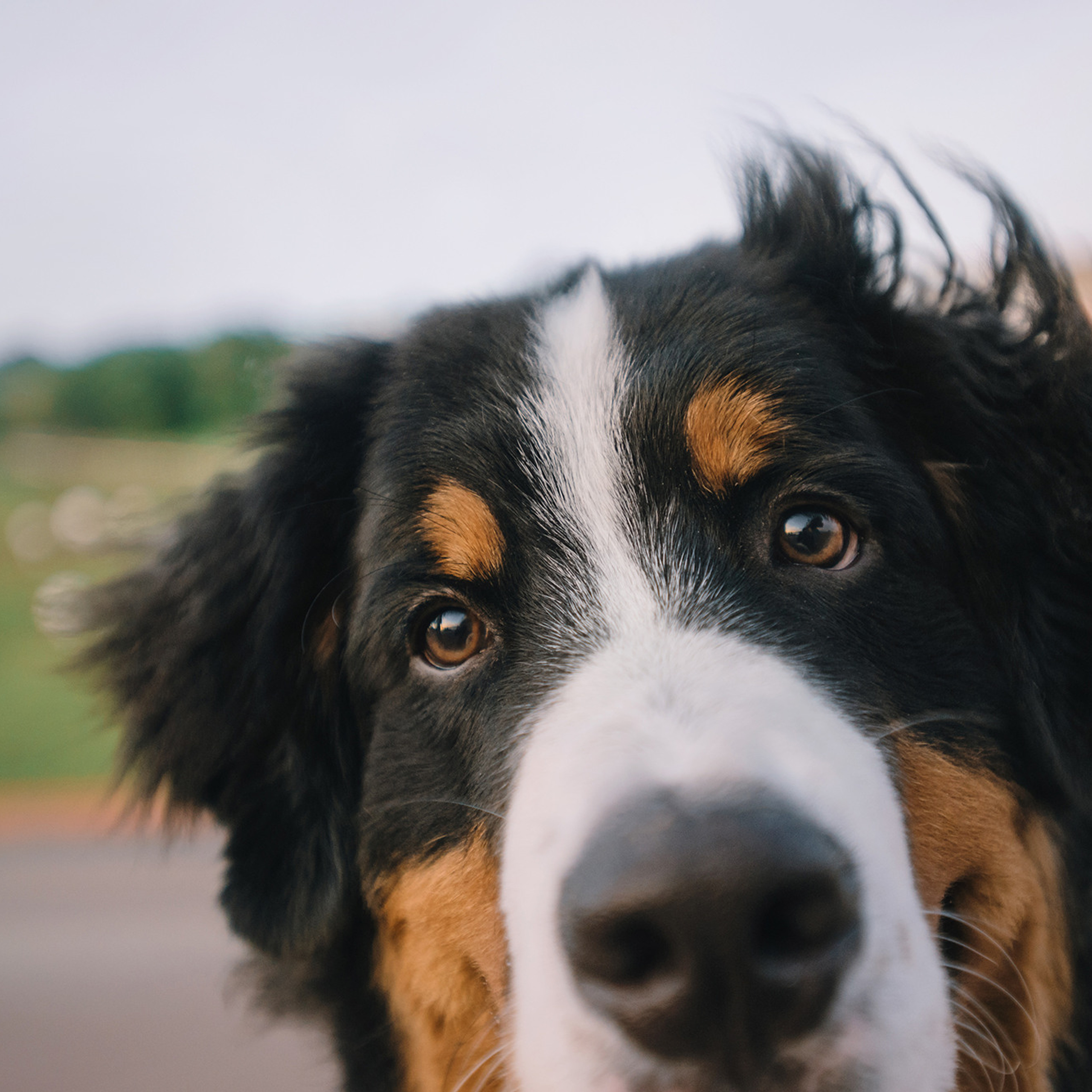 Оля и семья. Фотограф Анна Тюрина