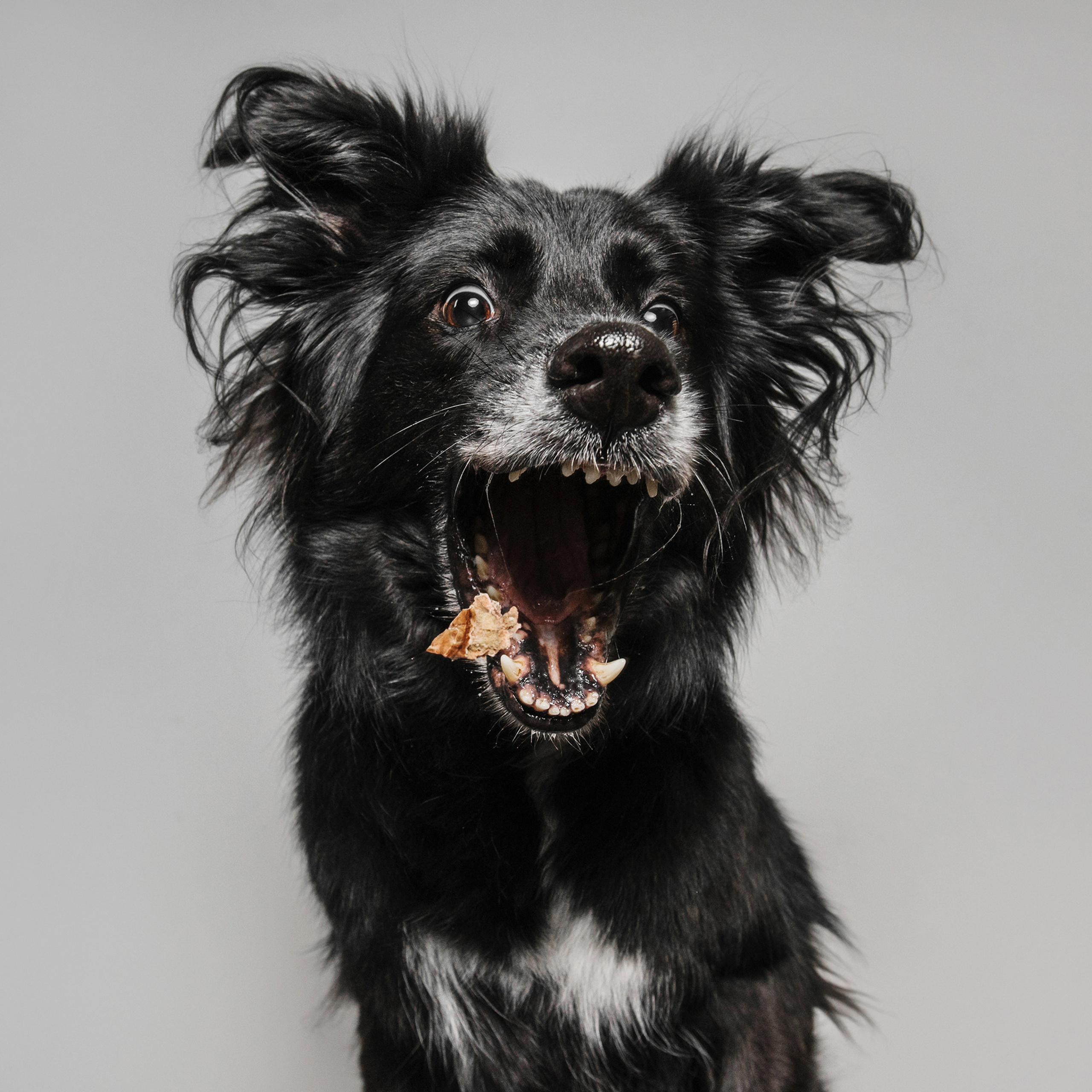 Фотодень в студии. Фотограф Анна Тюрина