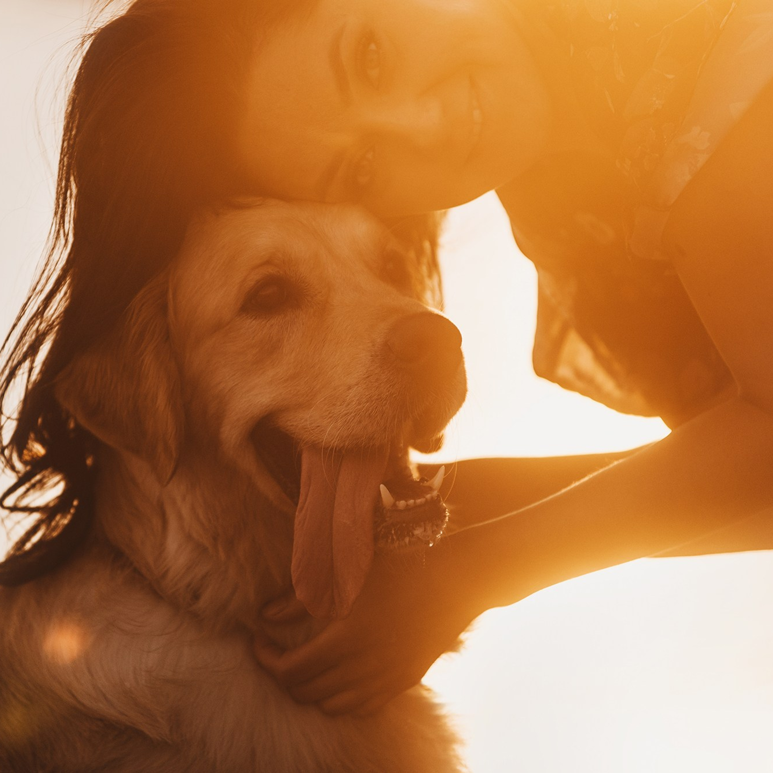 Человек и его друзья. Фотограф Анна Тюрина