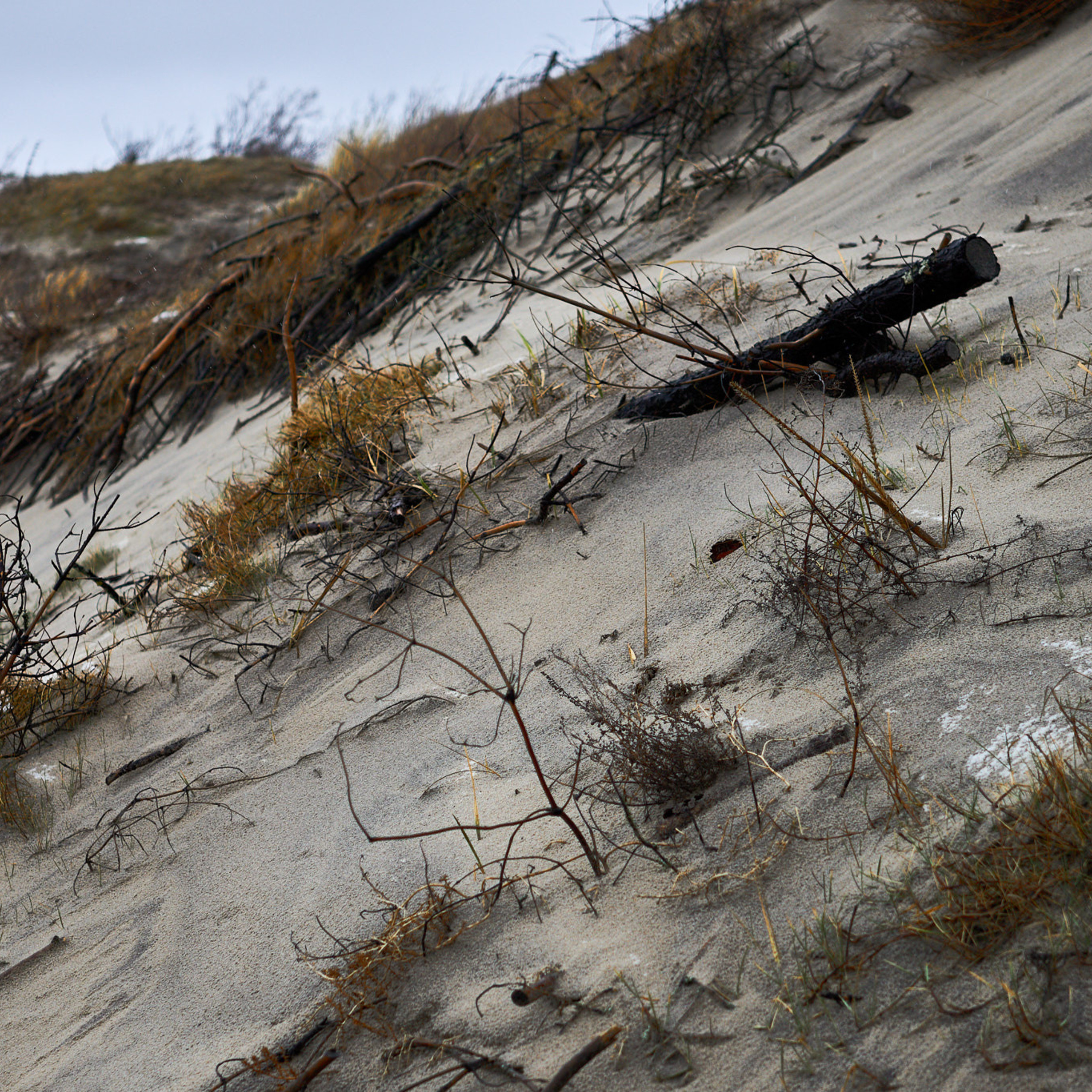 ⵙ Истории. Mike Tanner