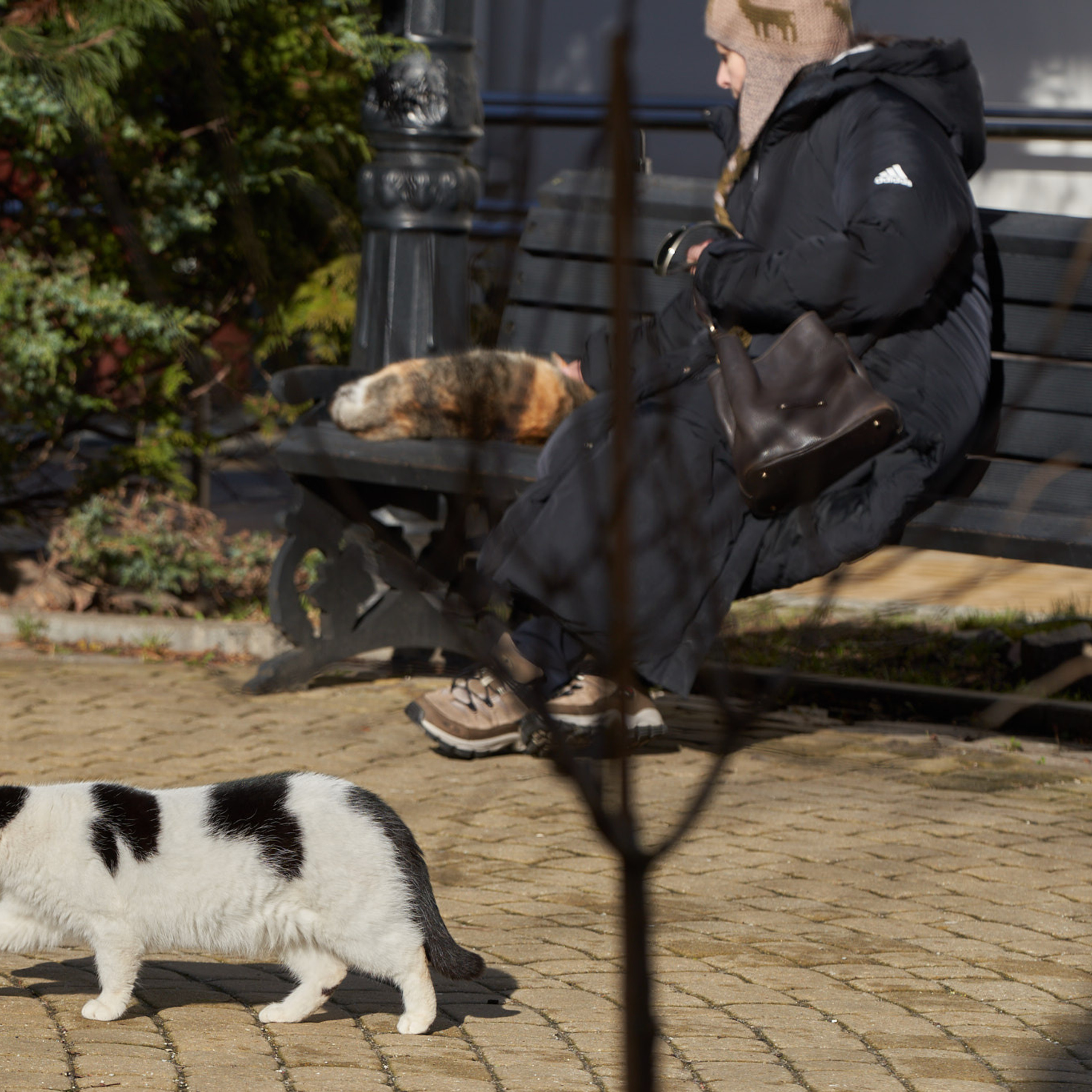 ⵙ Истории. Mike Tanner