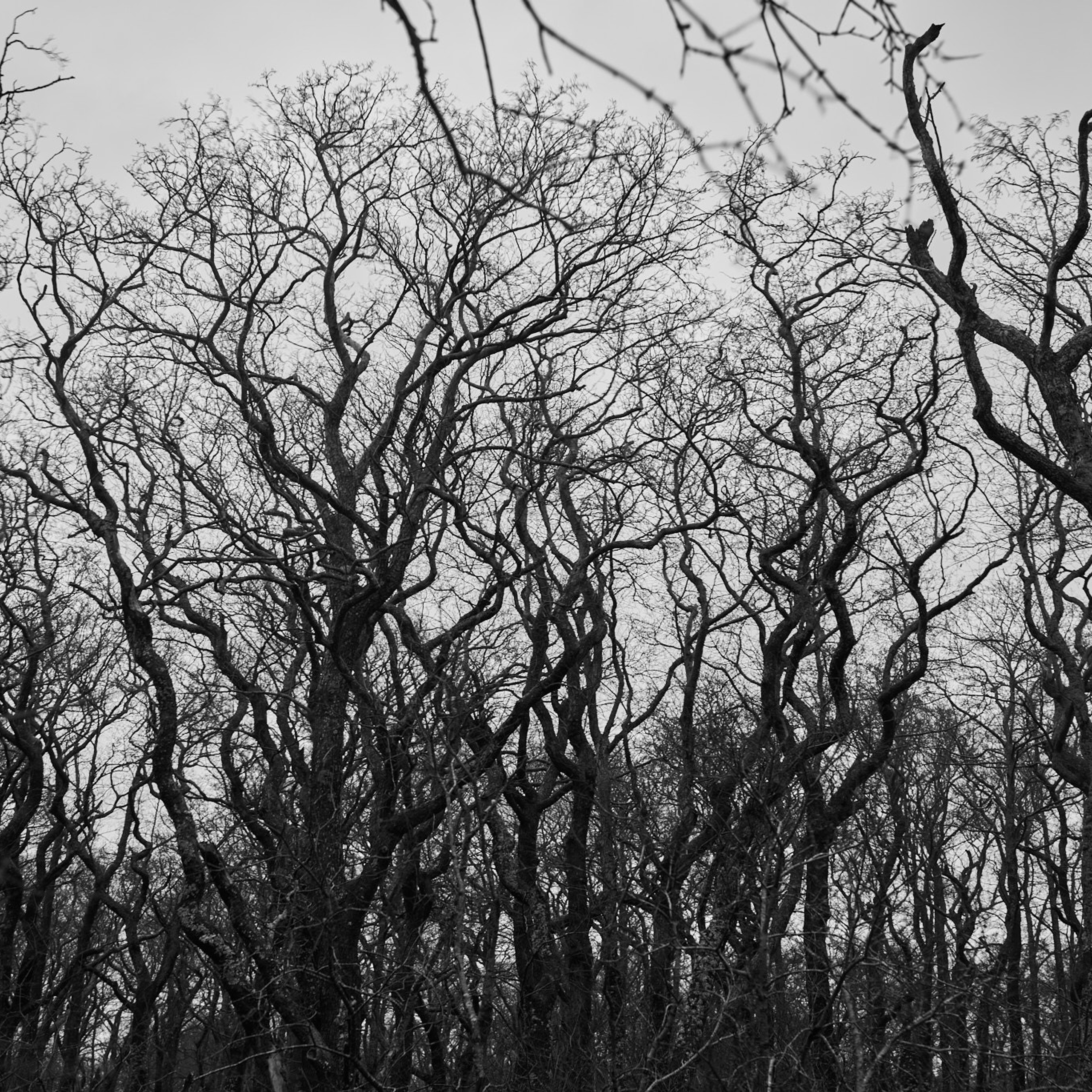 ⵙ Истории. Mike Tanner