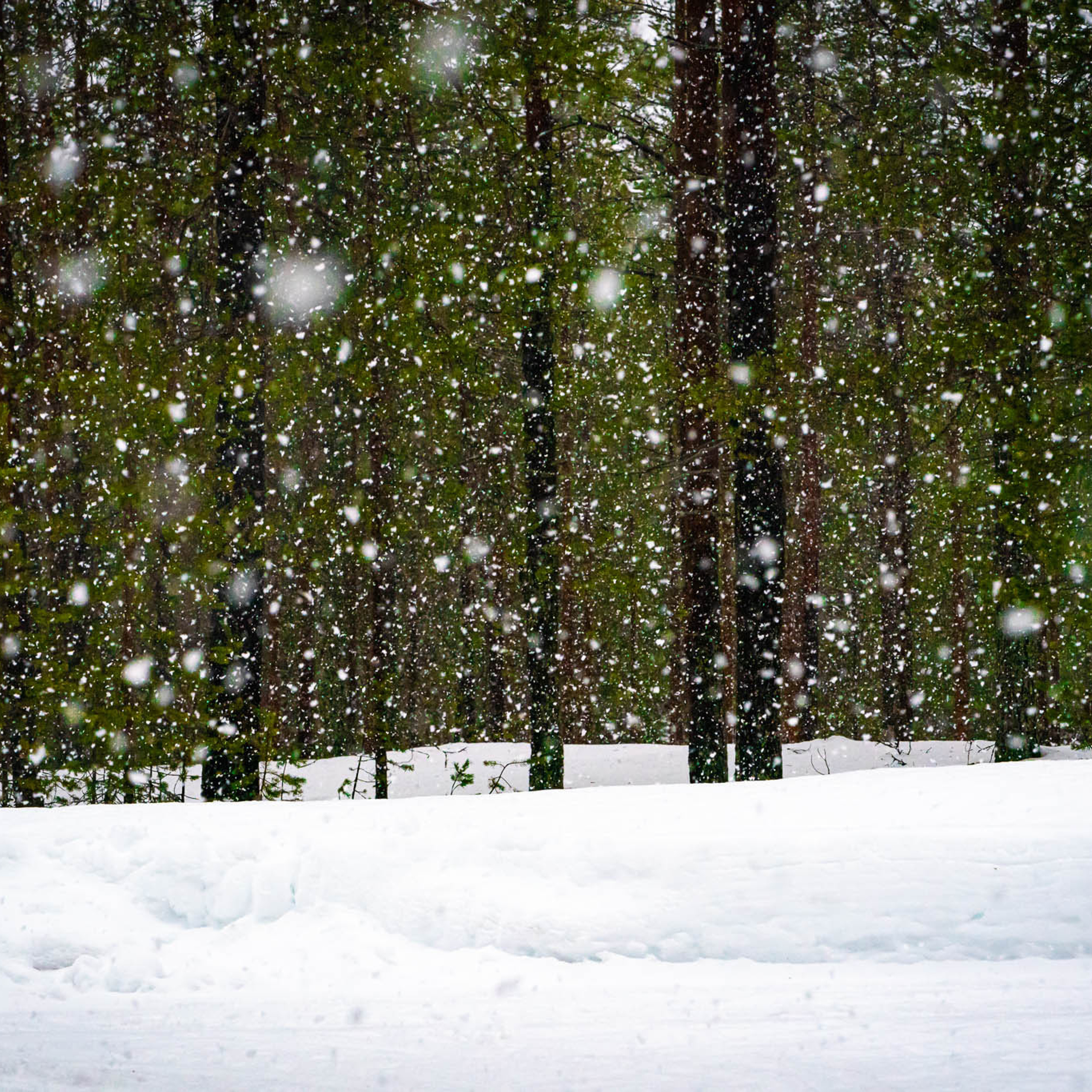 ⵙ Истории. Mike Tanner