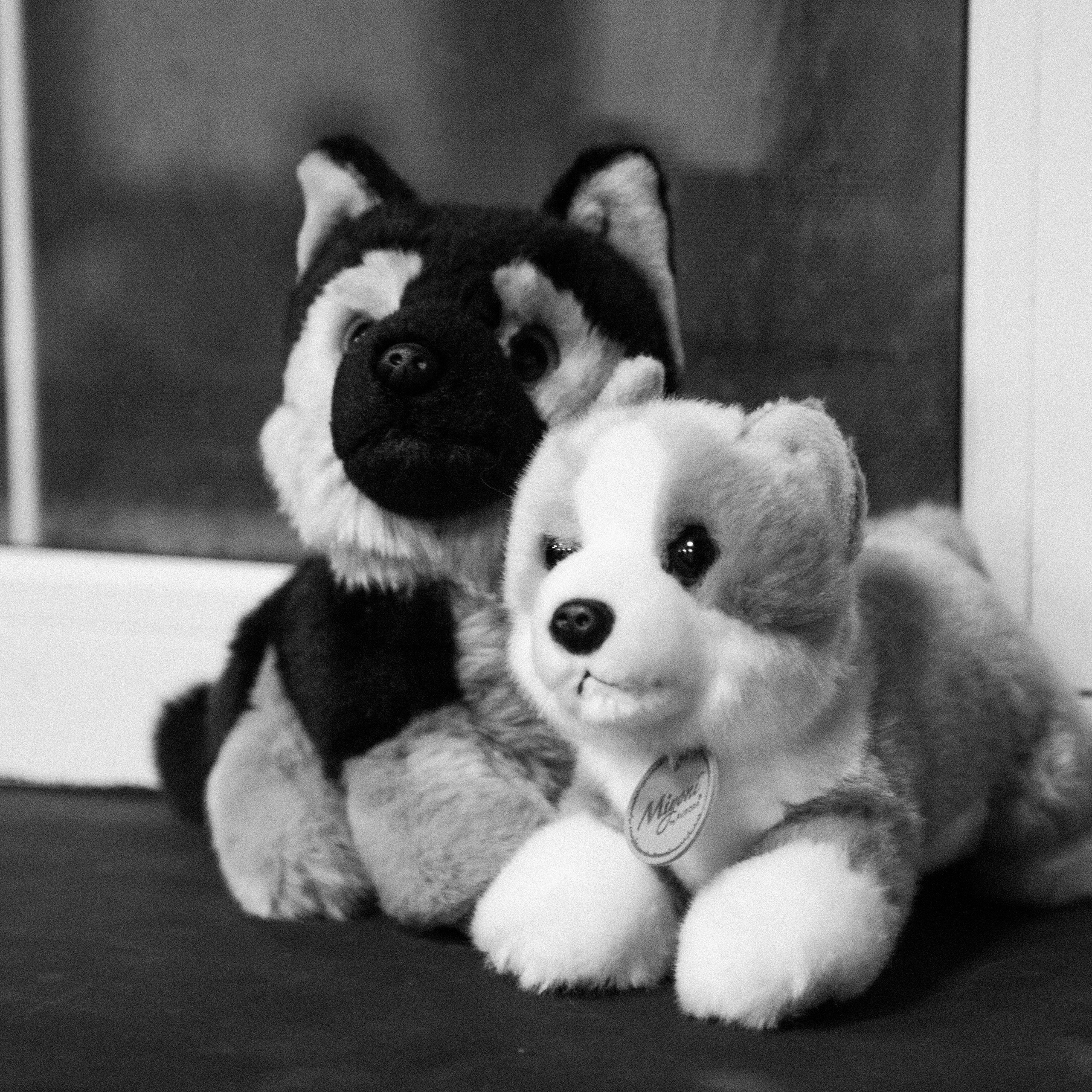 Отзывы. Честные истории о жизни города и его людях