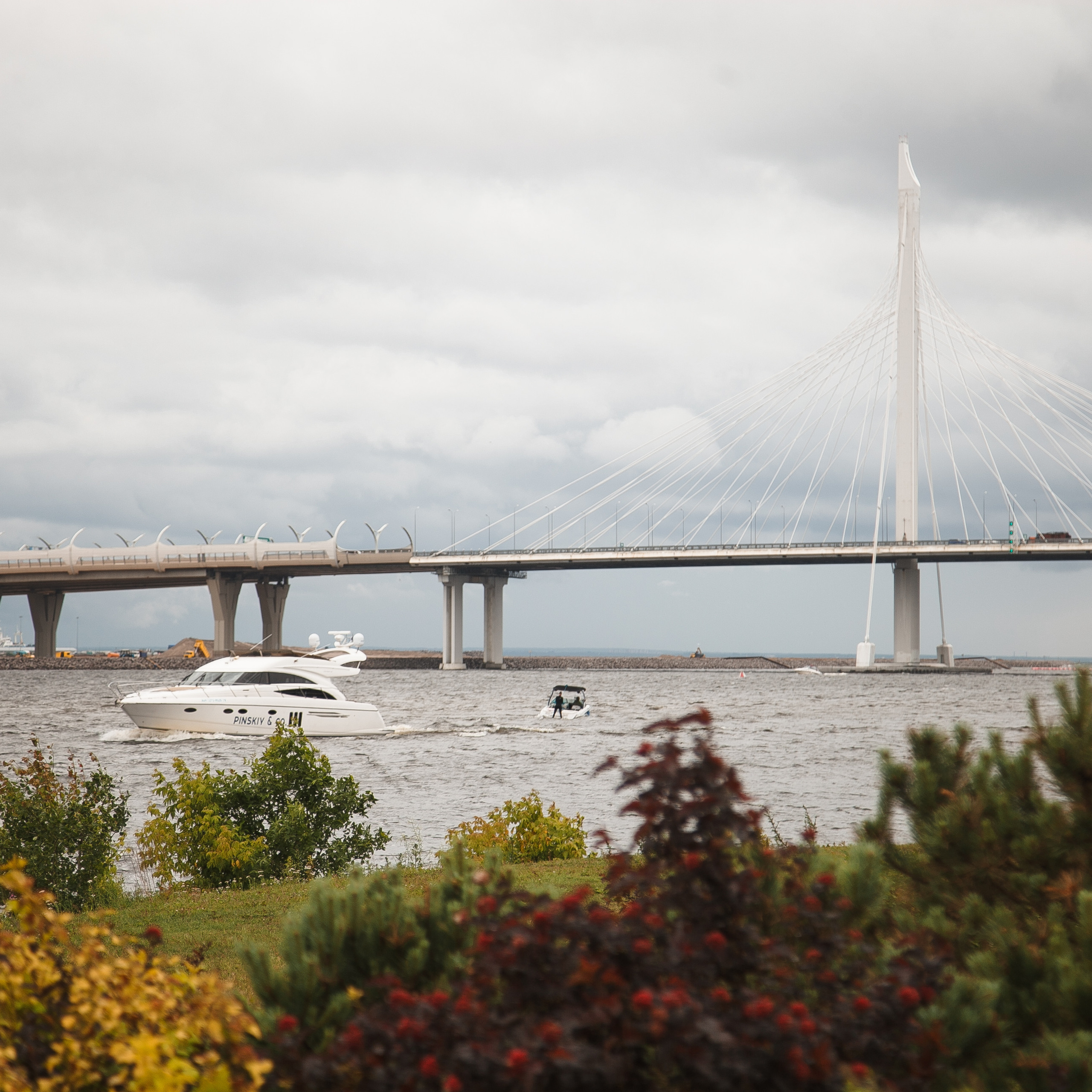 Отзывы. Честные истории о жизни города и его людях