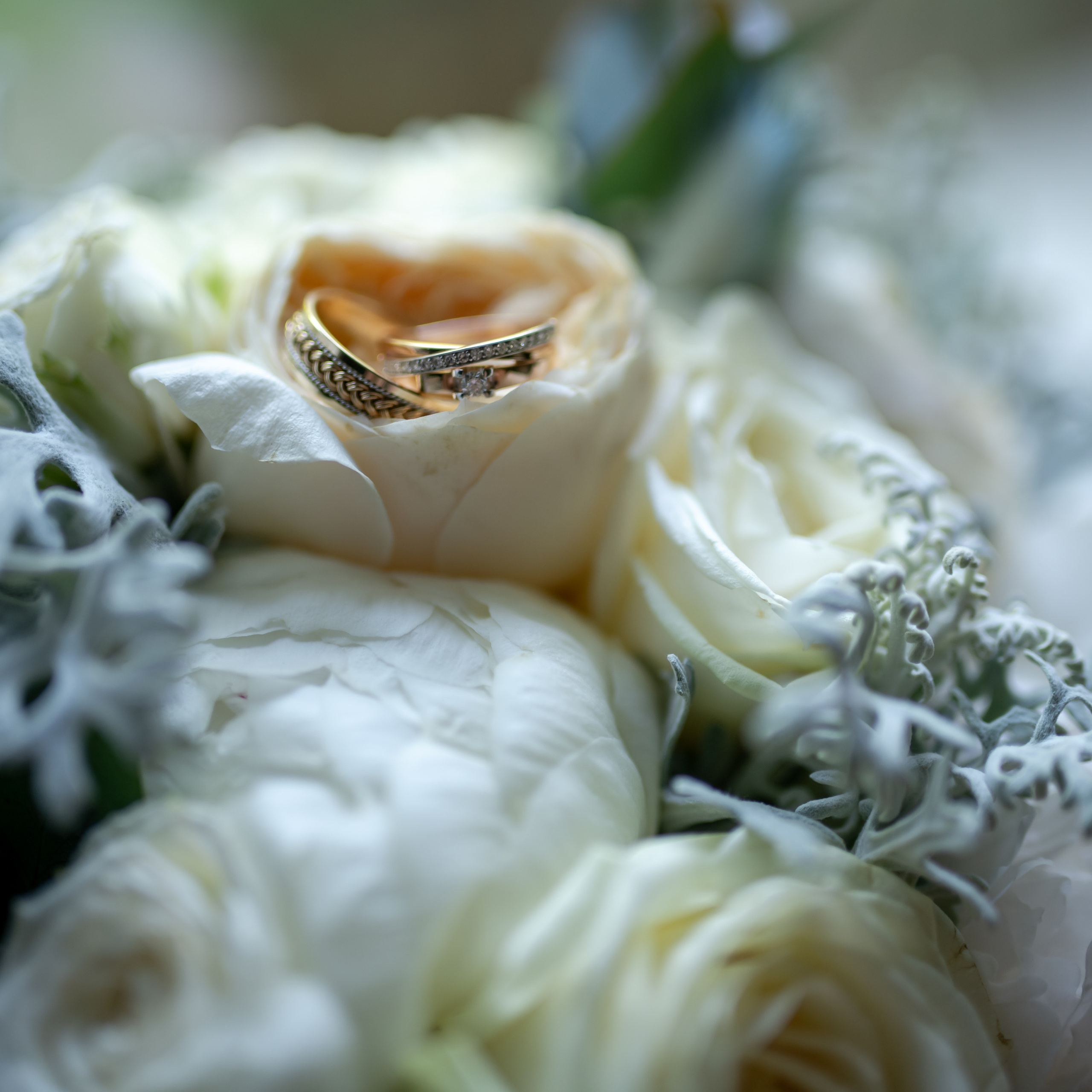 Отзывы на мои услуги фотографа. Свадебный фотограф в Москве