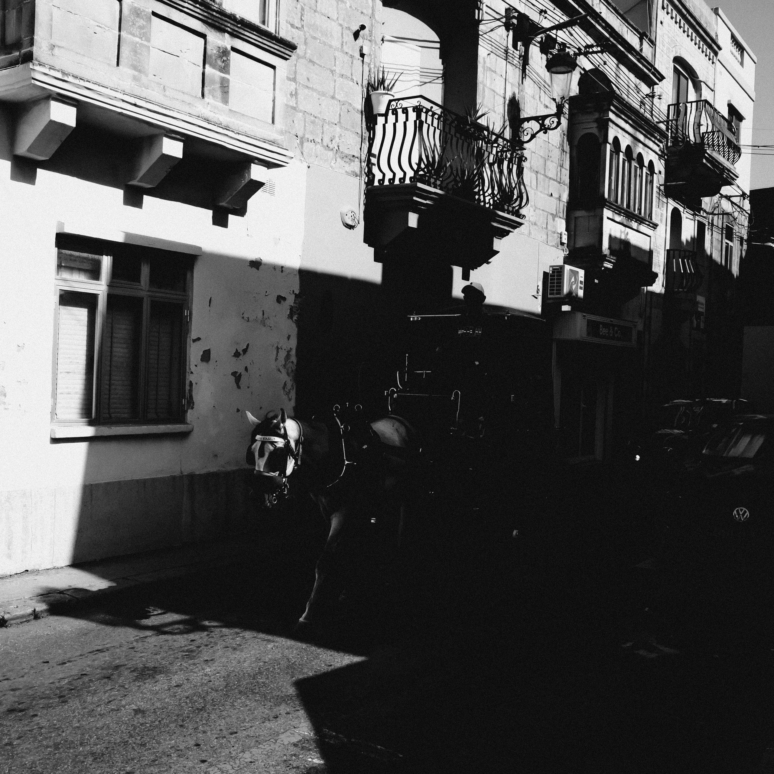 Street. Maxim Haritonchik — photographer