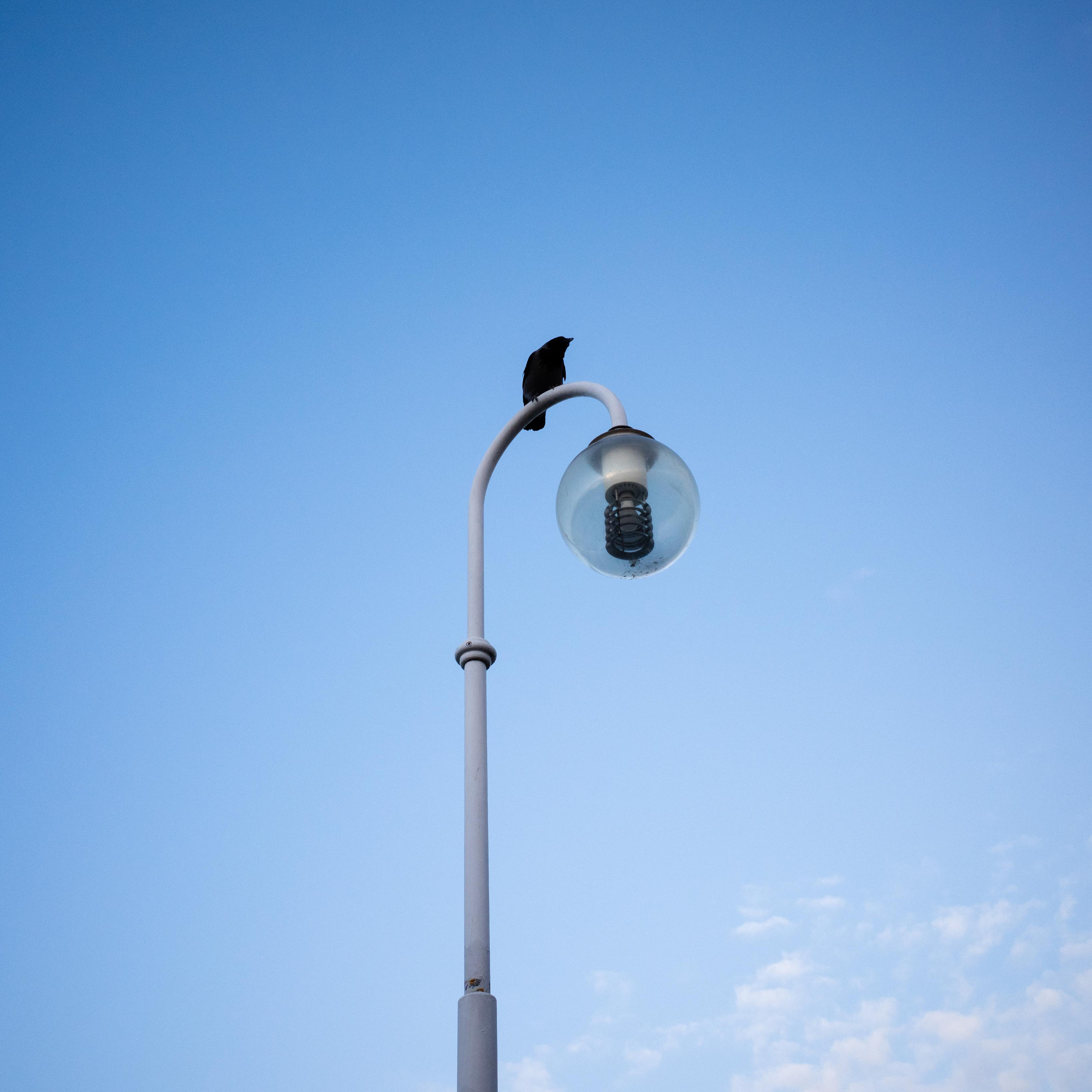 Street. Maxim Haritonchik — photographer