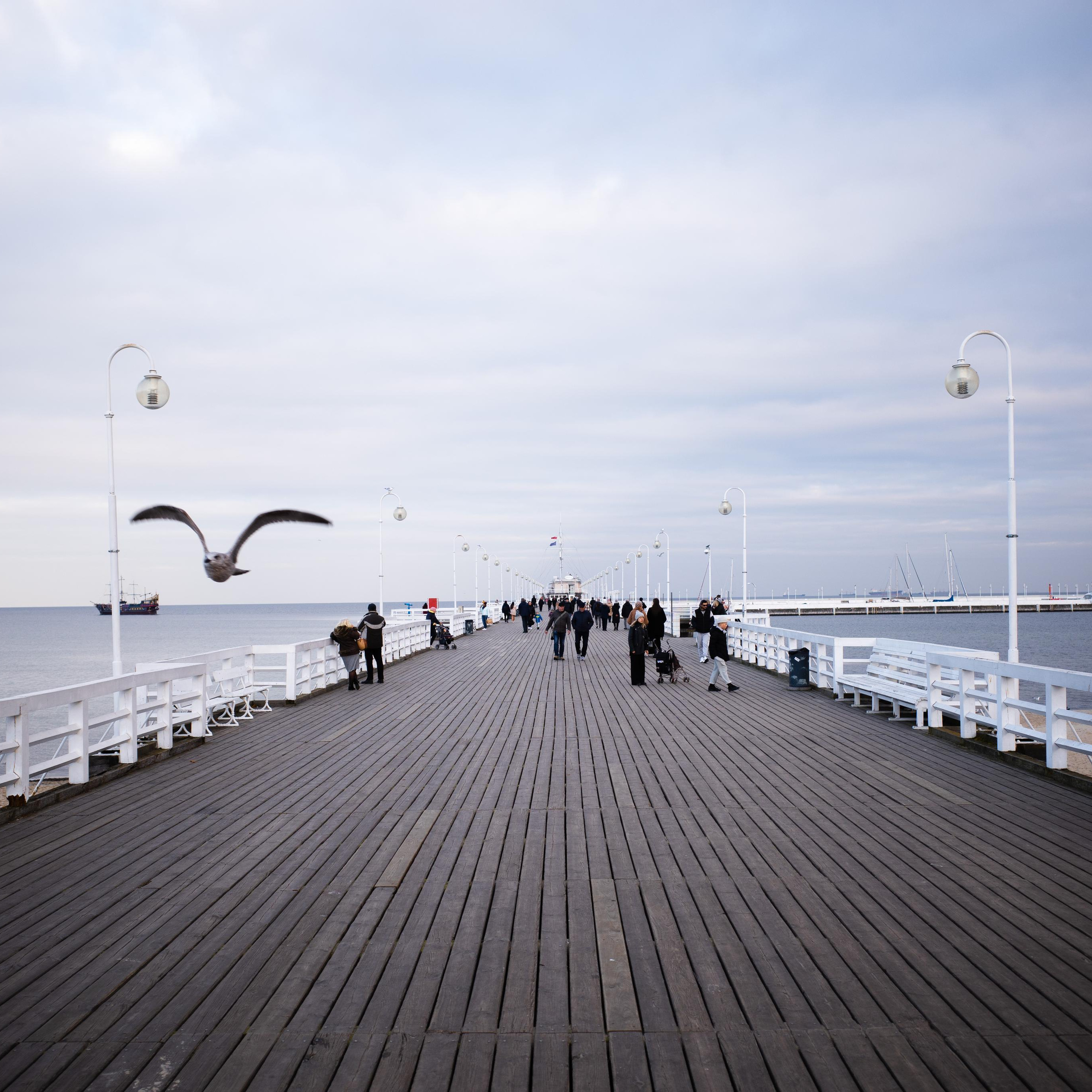 Street. Maxim Haritonchik — photographer