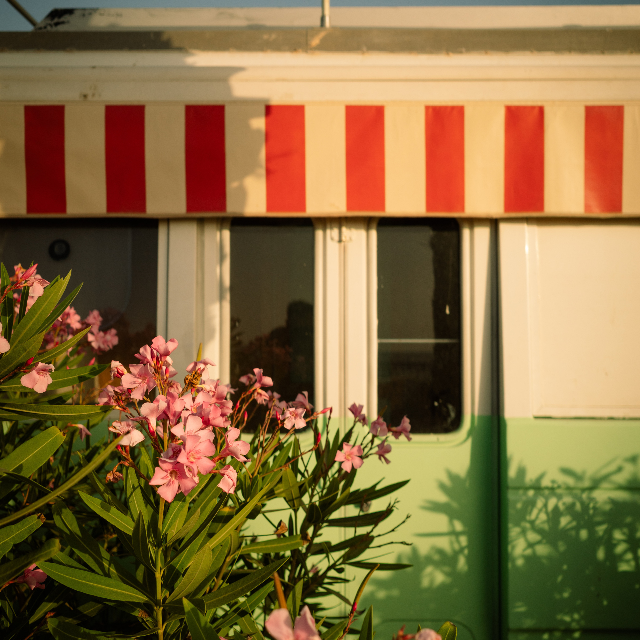 Street. Maxim Haritonchik — photographer