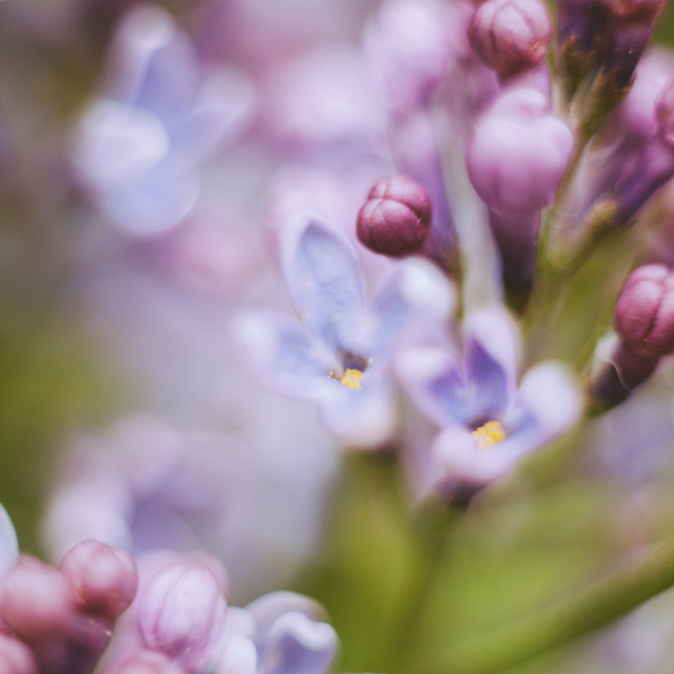 Индивидуальные и парные