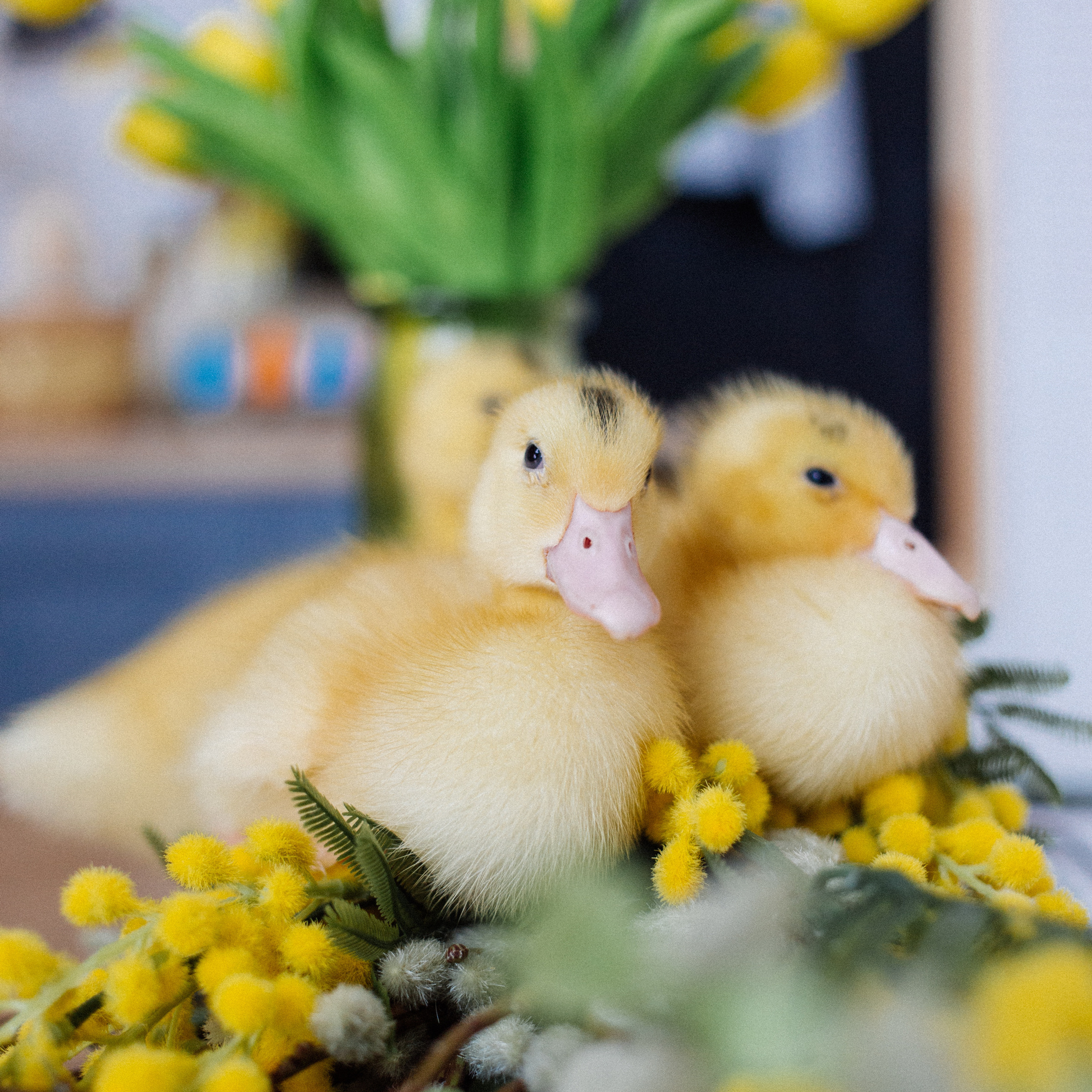 Пасхальные фотосессии