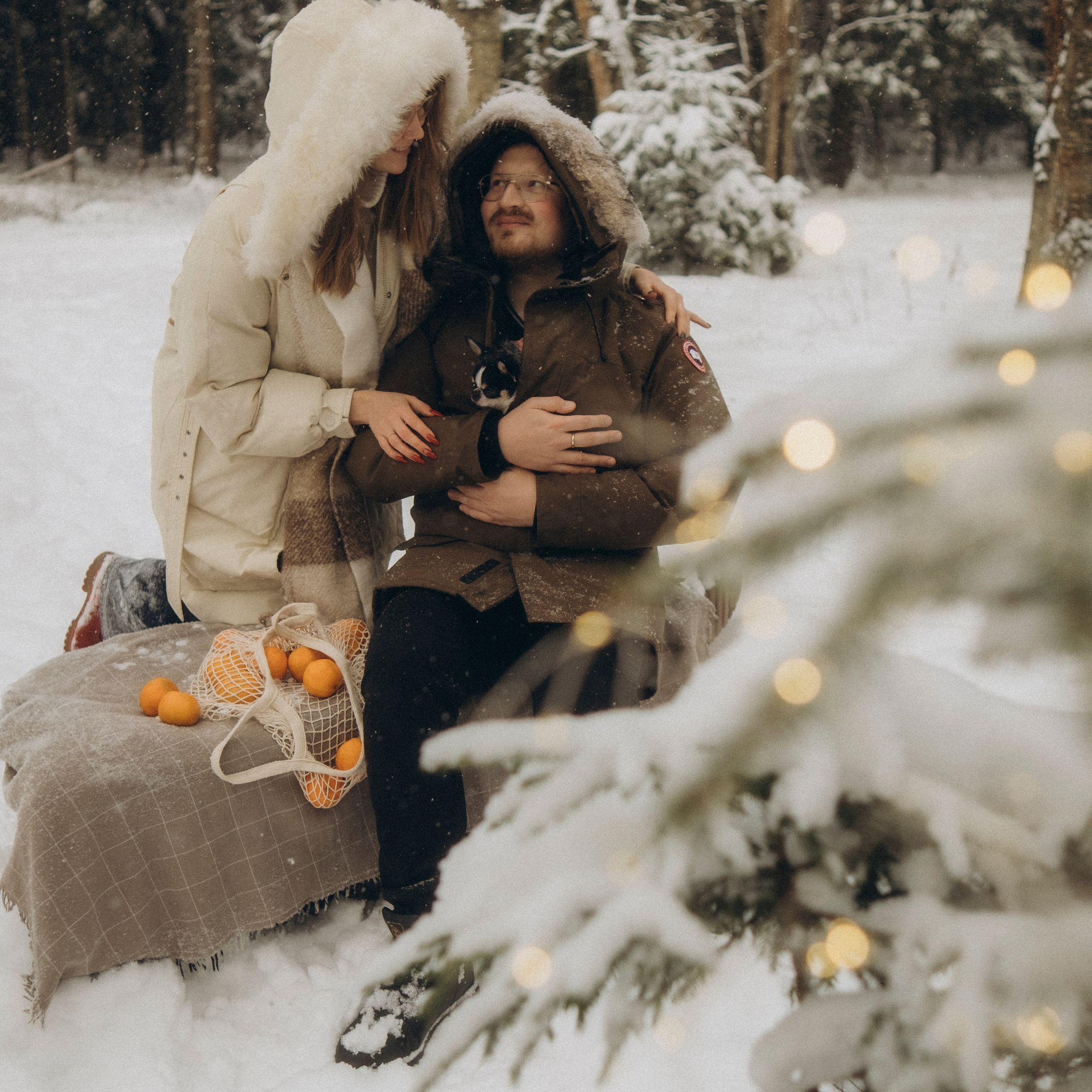 Зимняя прогулка