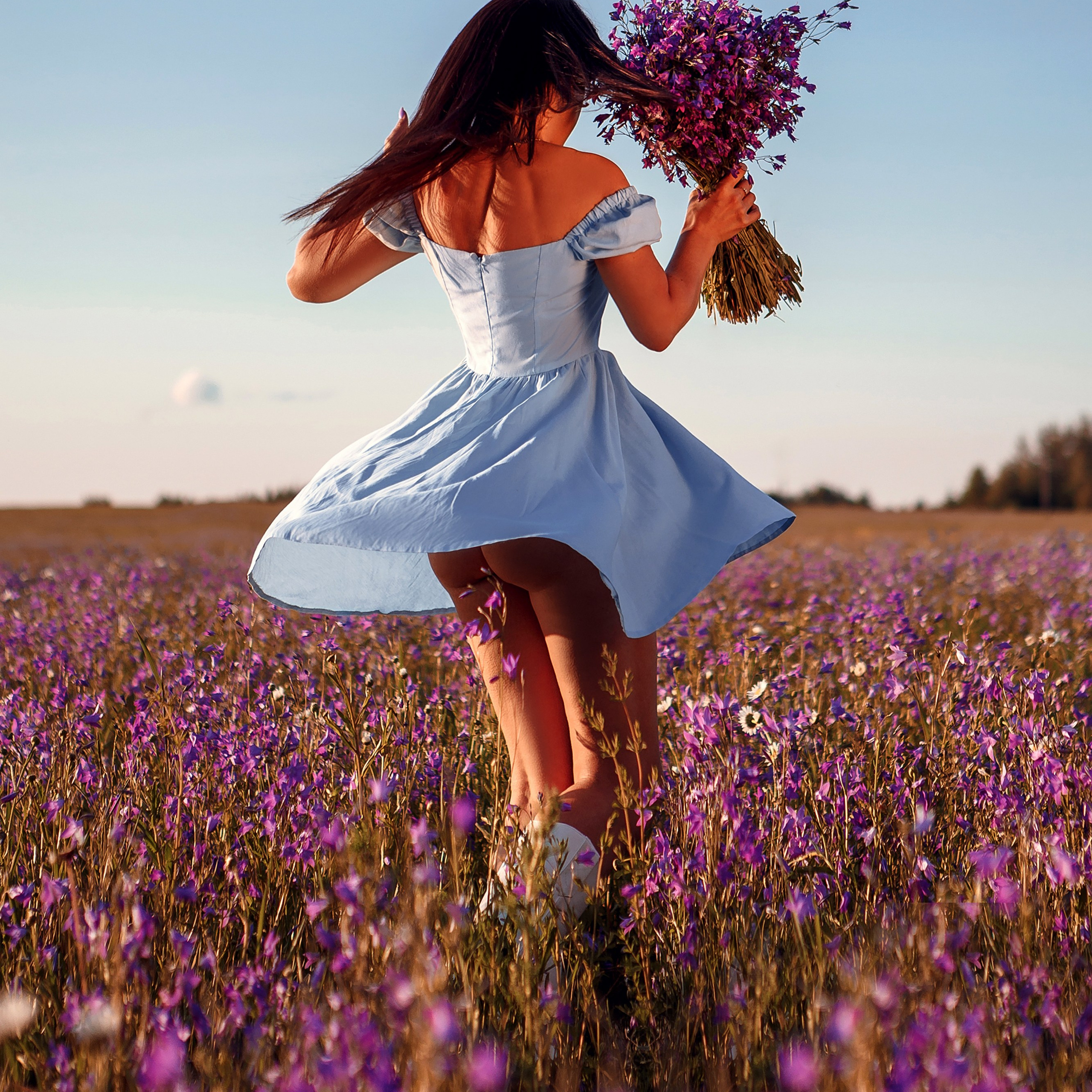 Поля сиреневые