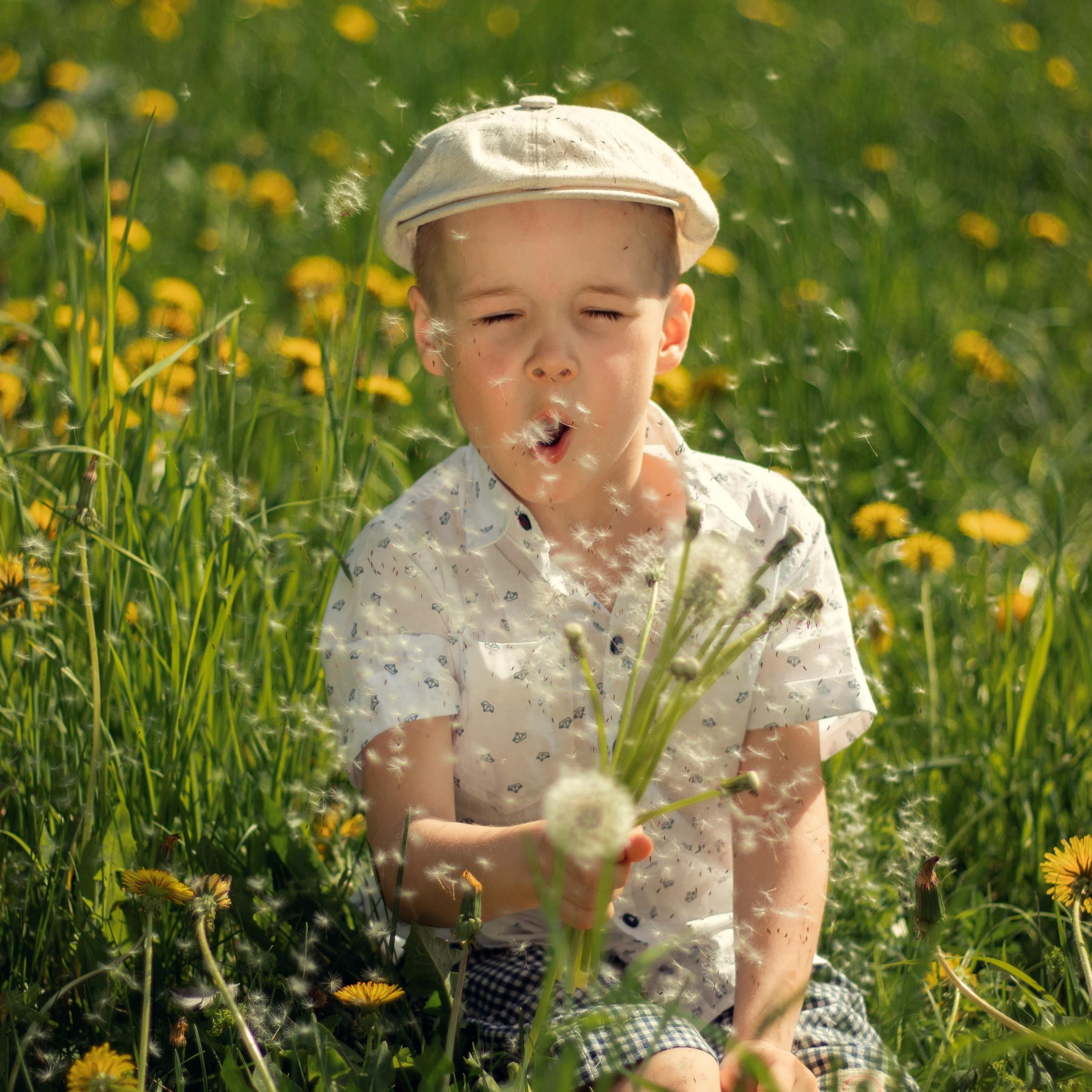 Одуванчиковое настроение
