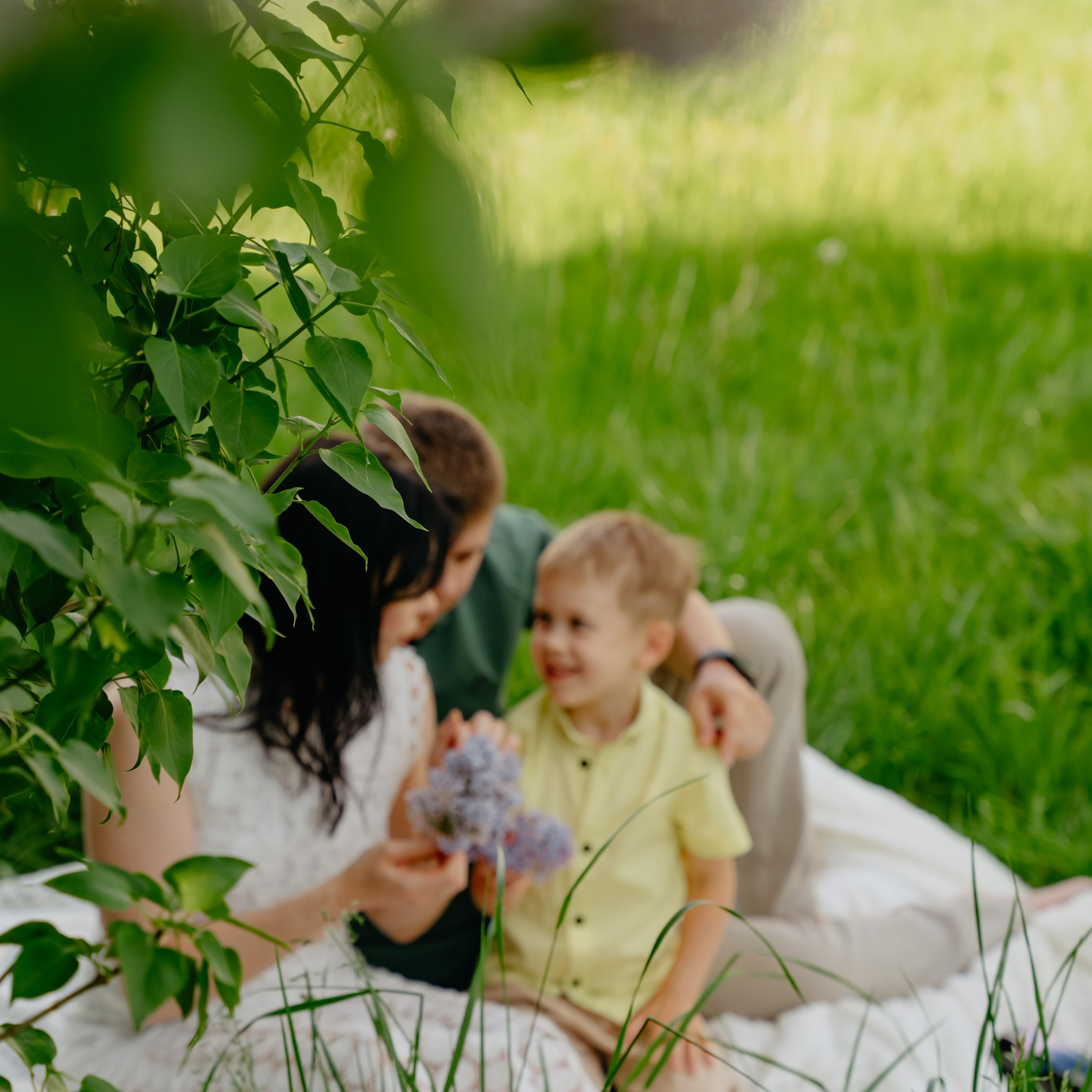 Сиреневое настроение