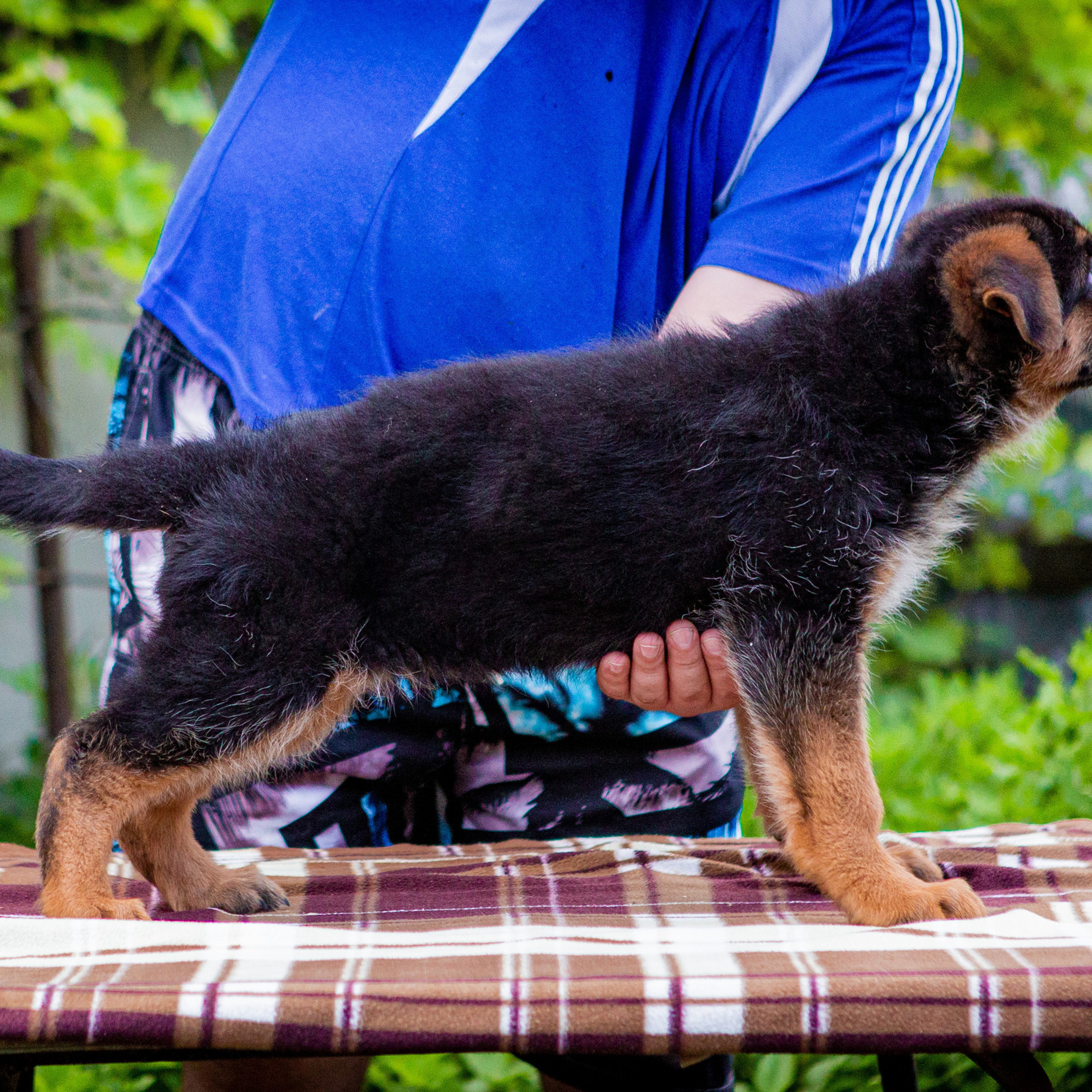 Оставить отзыв